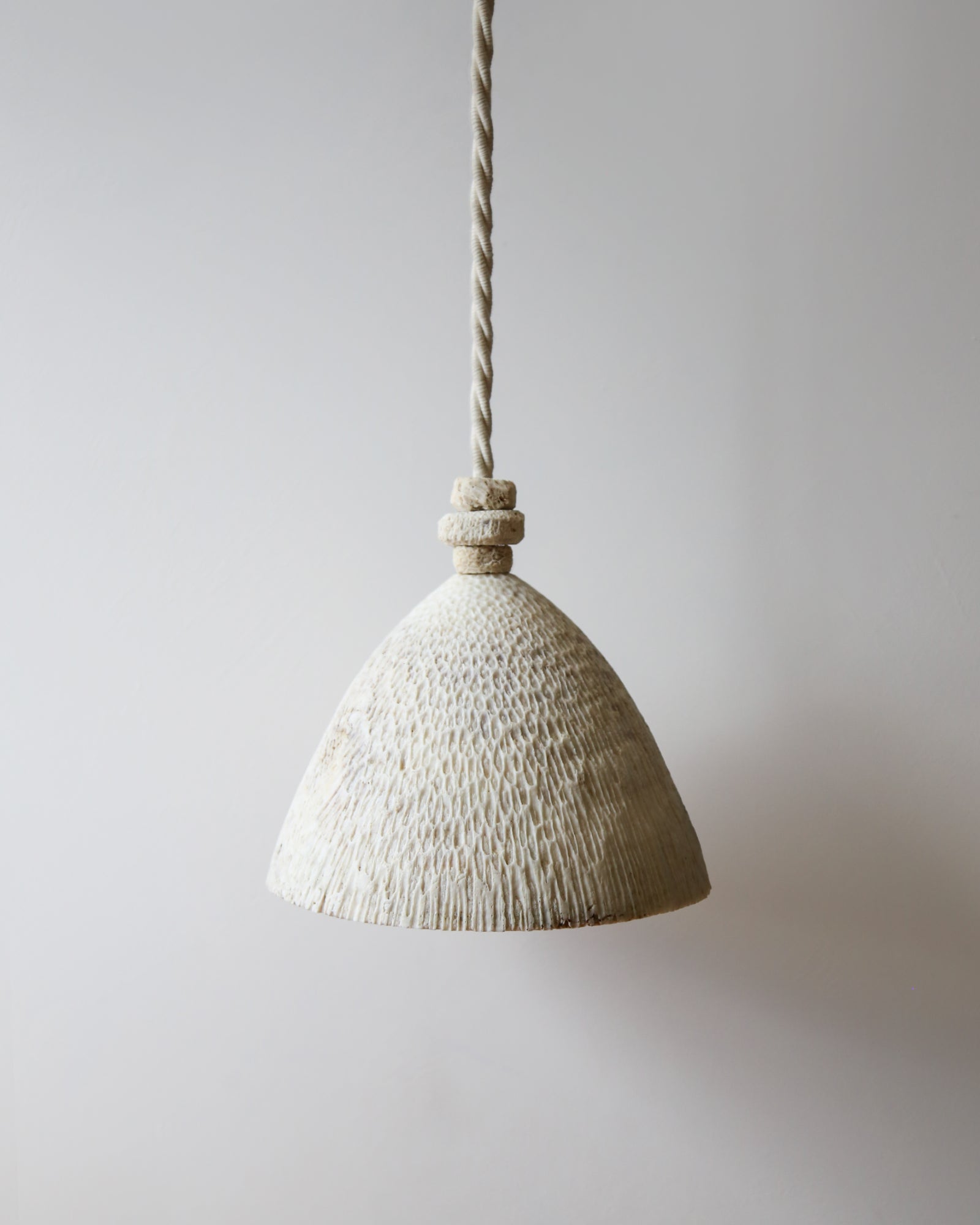 Fossil Coral Cone Pendant Light