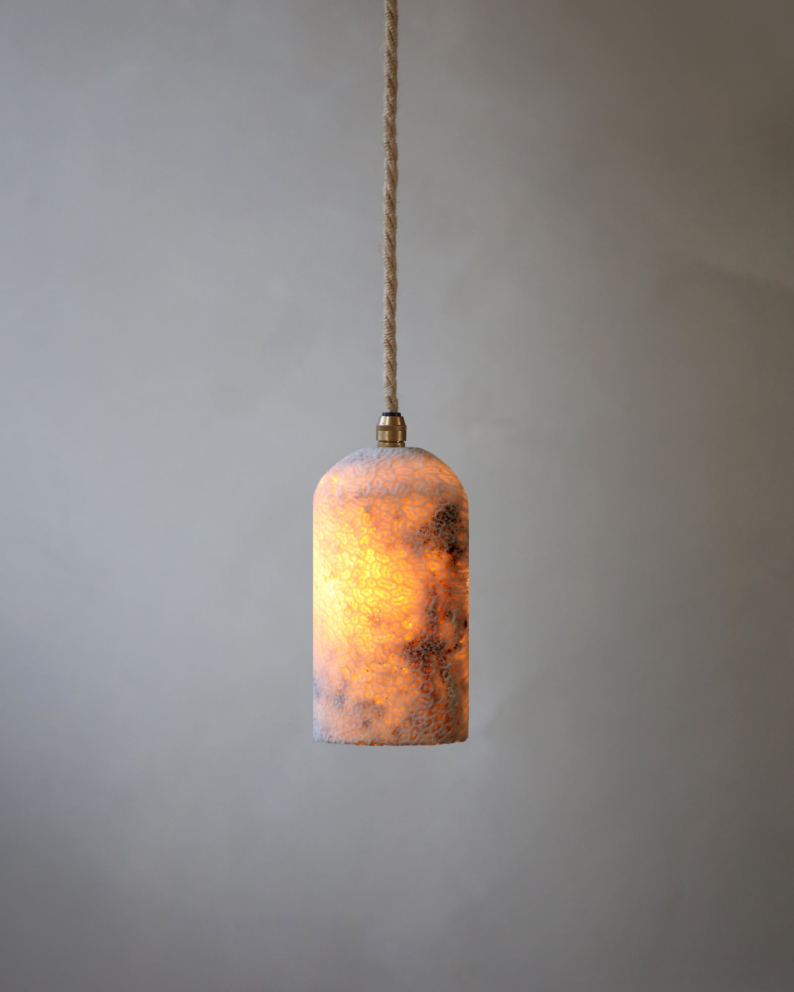 Fossil Coral Dome Pendant Light