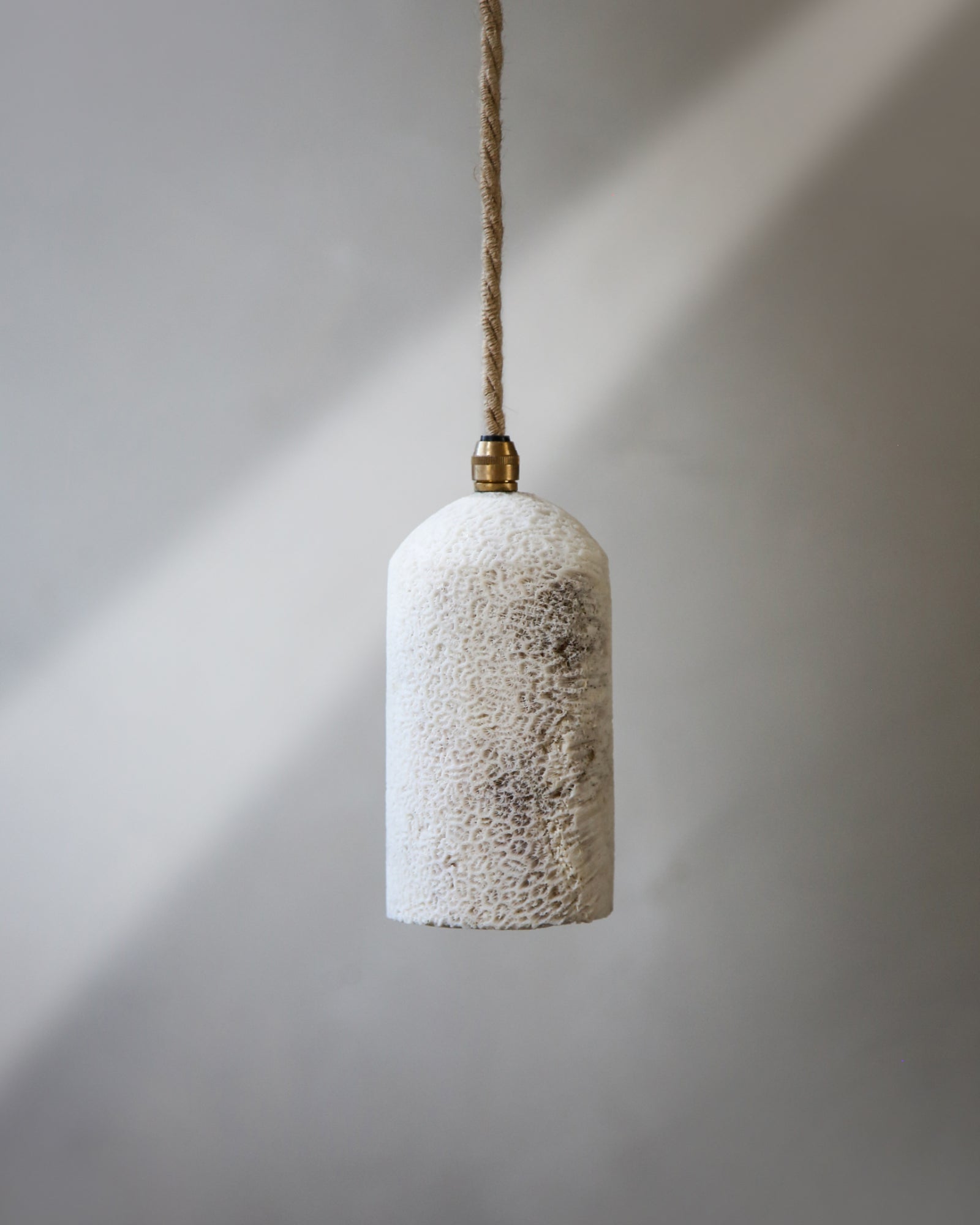 Fossil Coral Dome Pendant Light