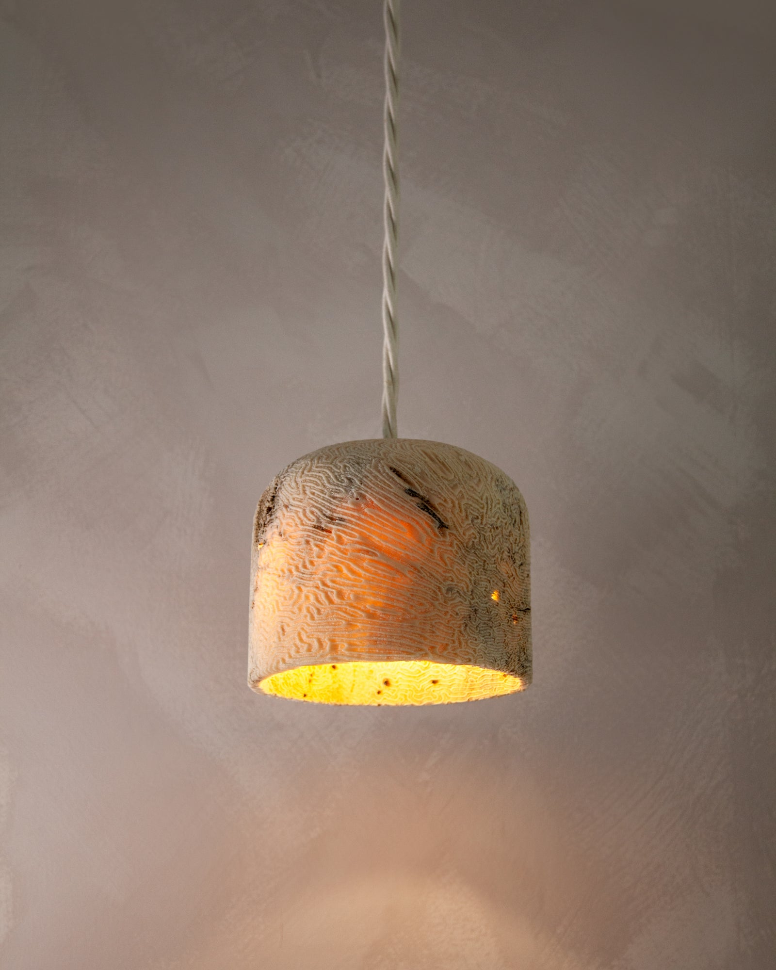 Fossil Coral Dome Pendant Light