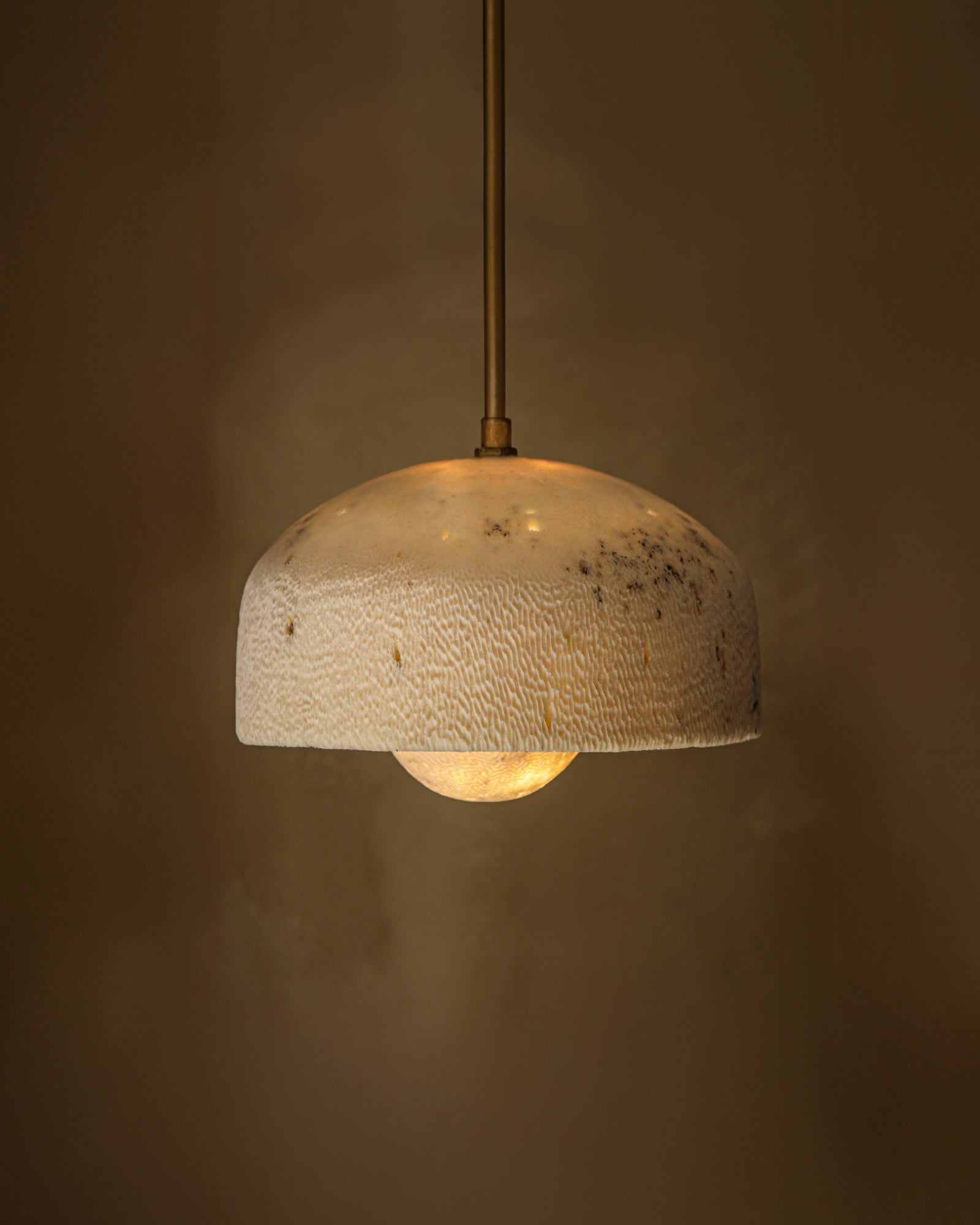 Fossil Coral Pearl Pendant Light