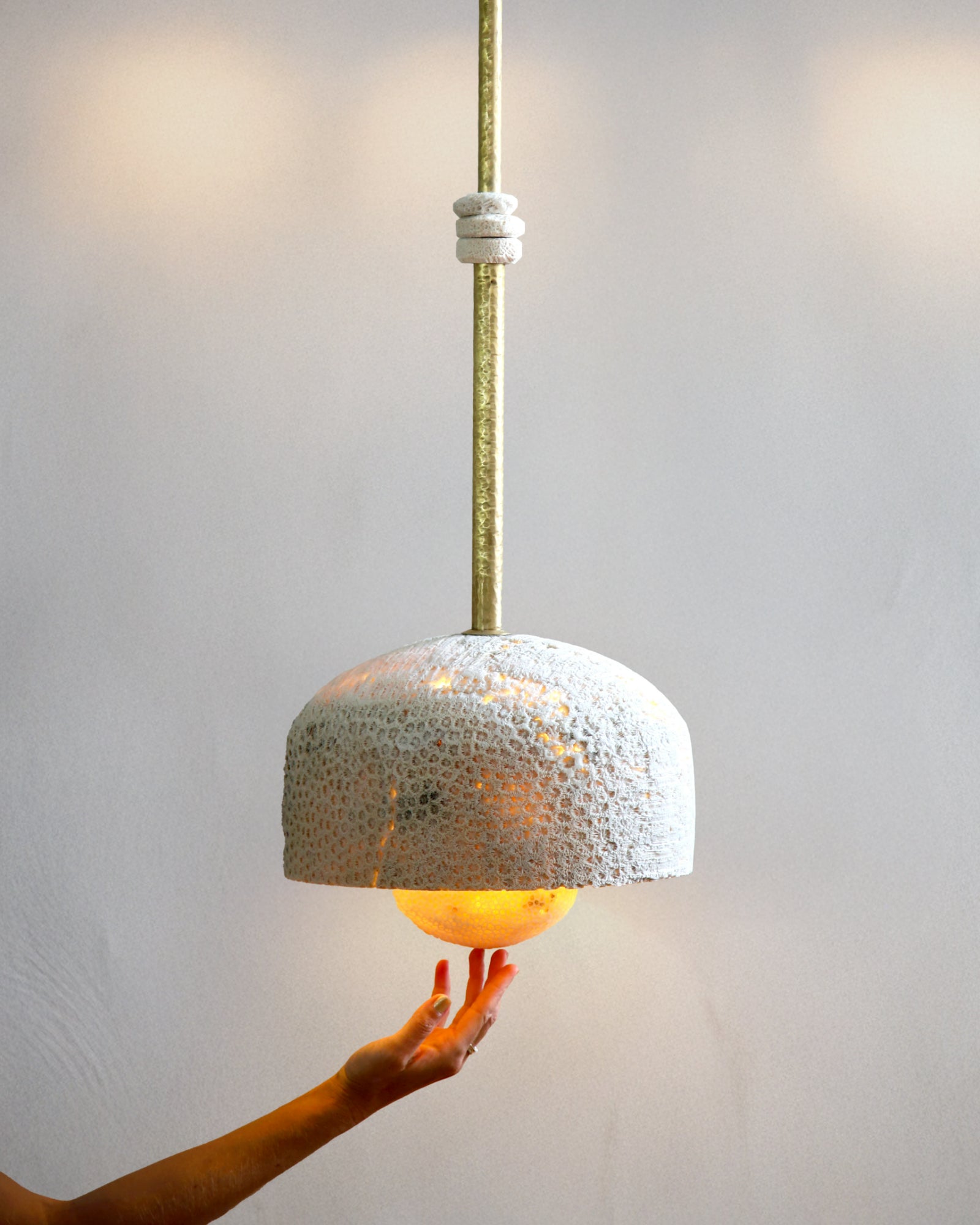 Fossil Coral Pearl Pendant Light