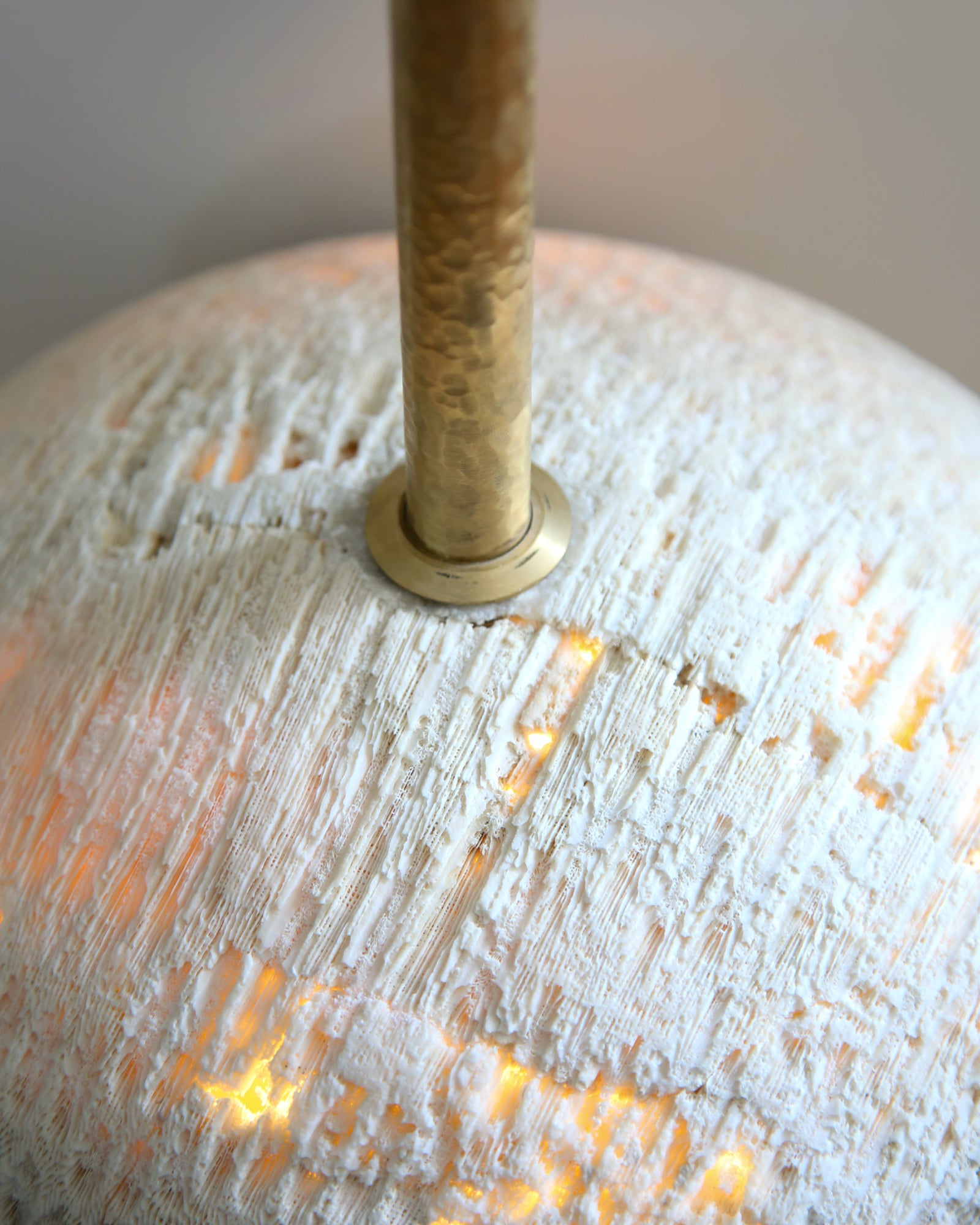 Fossil Coral Pearl Pendant Light