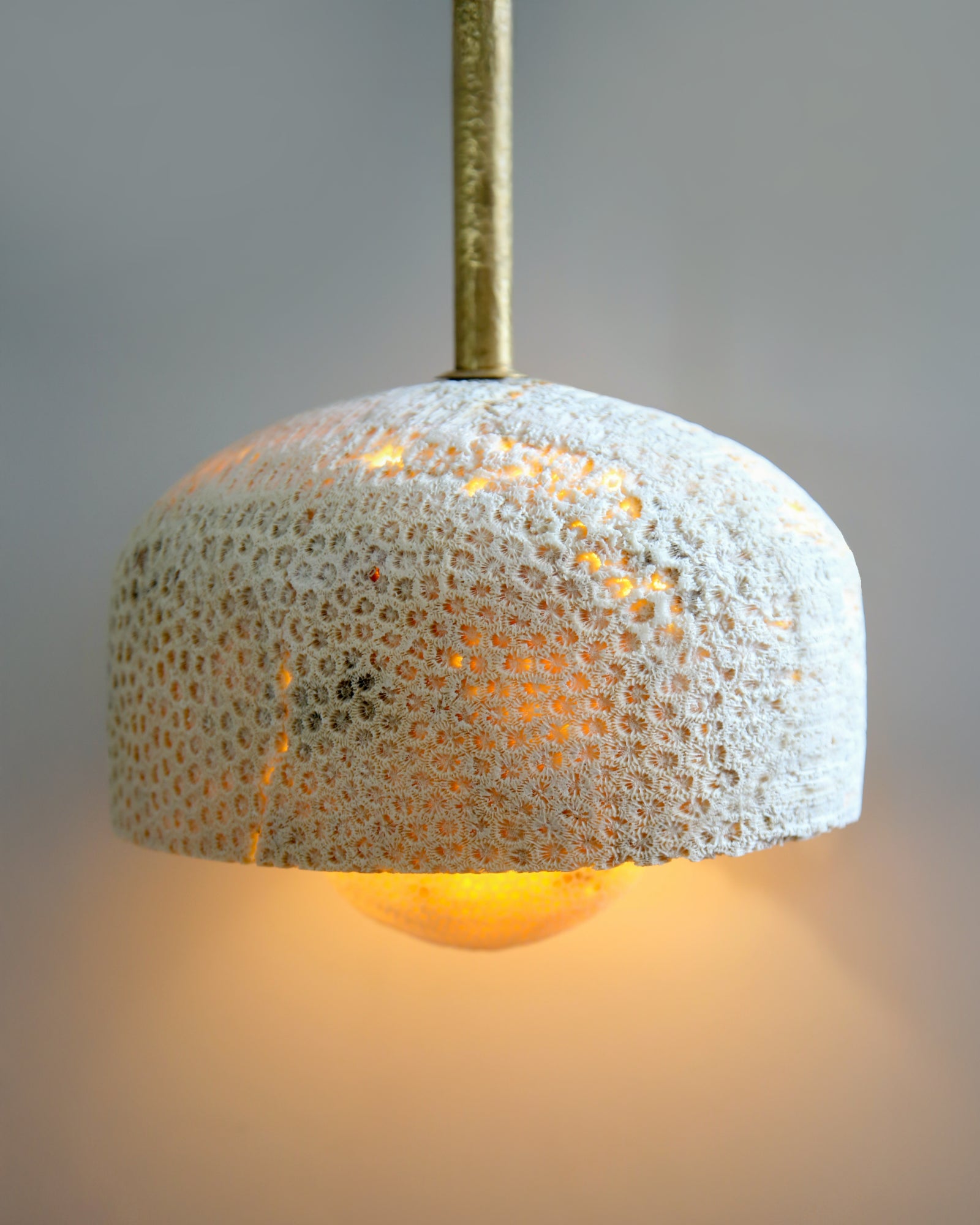 Fossil Coral Pearl Pendant Light