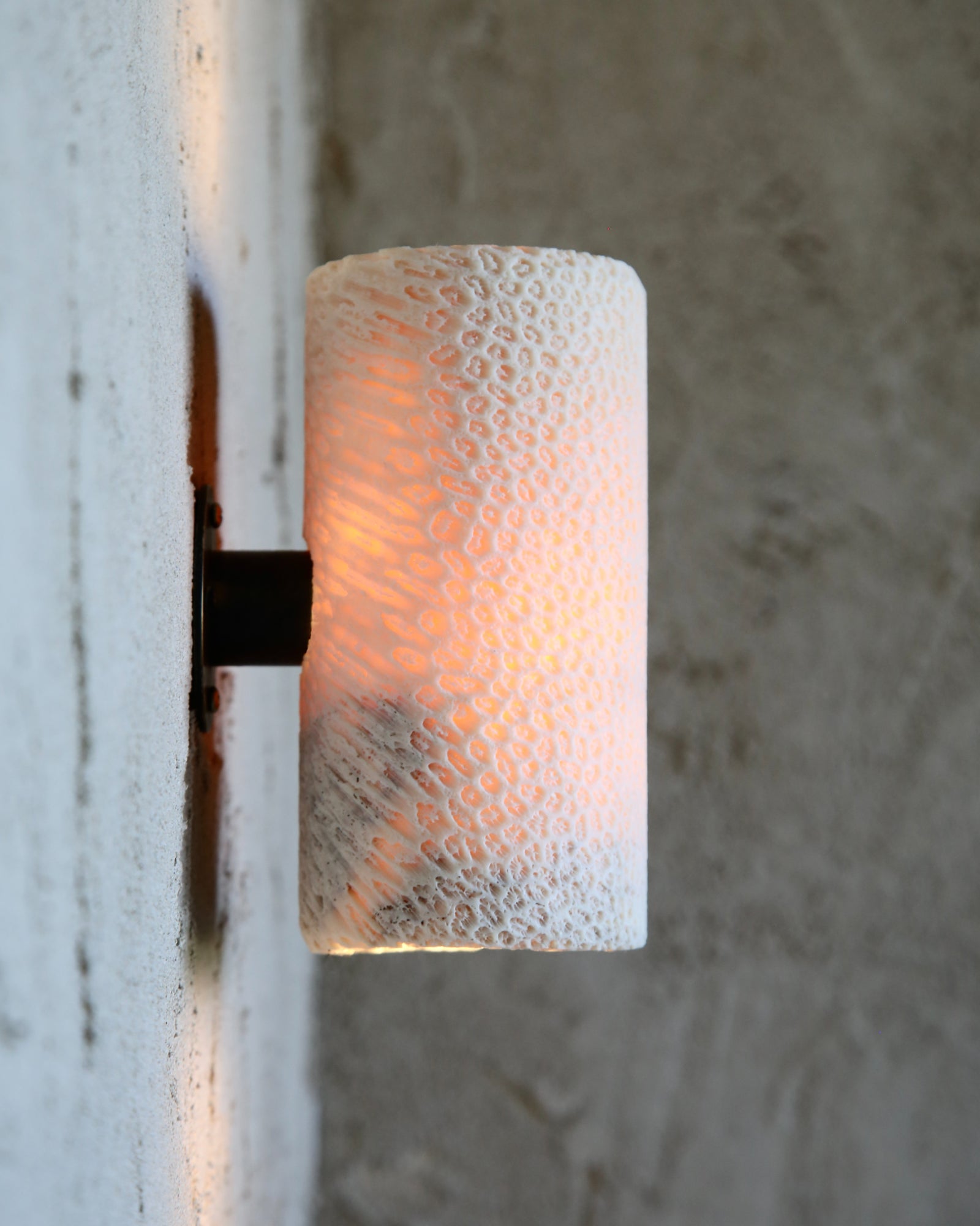 Fossil Coral Tube Wall Light