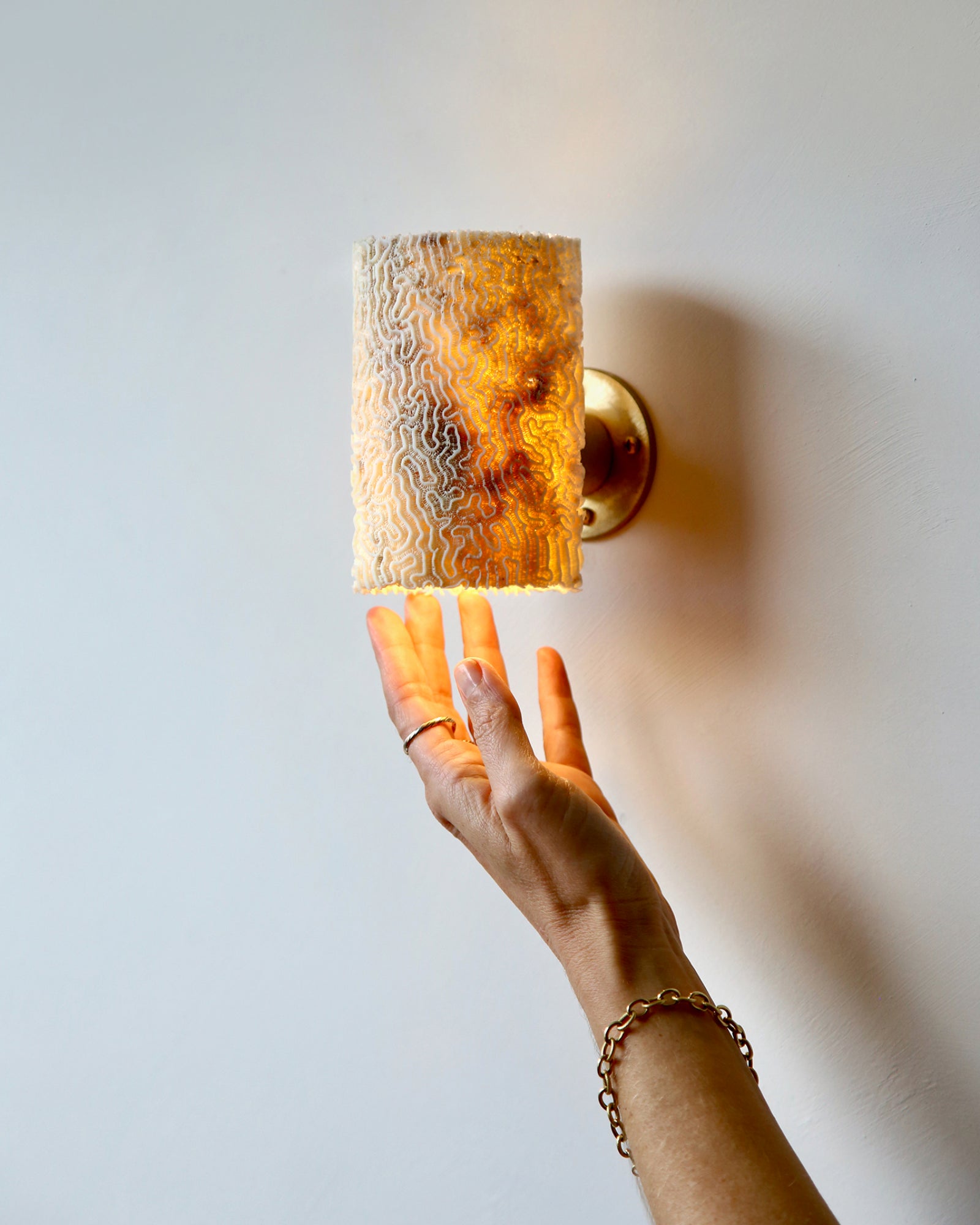 Fossil Coral Tube Wall Light