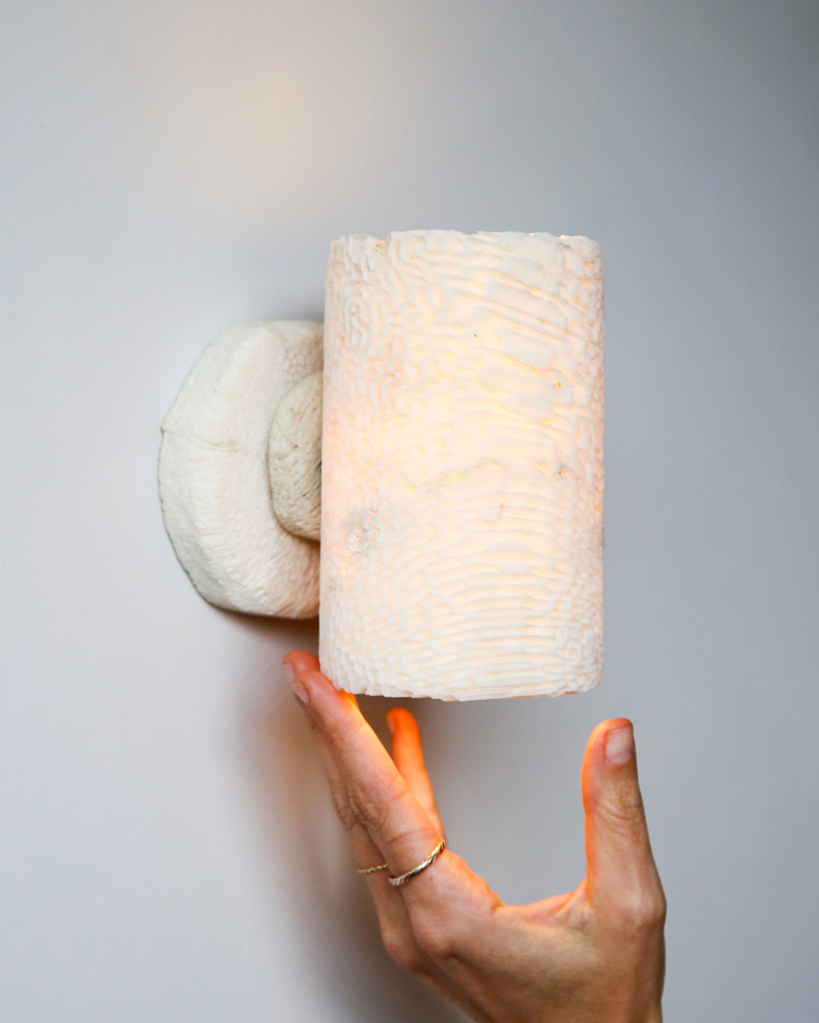 Fossil Coral Tube Wall Light