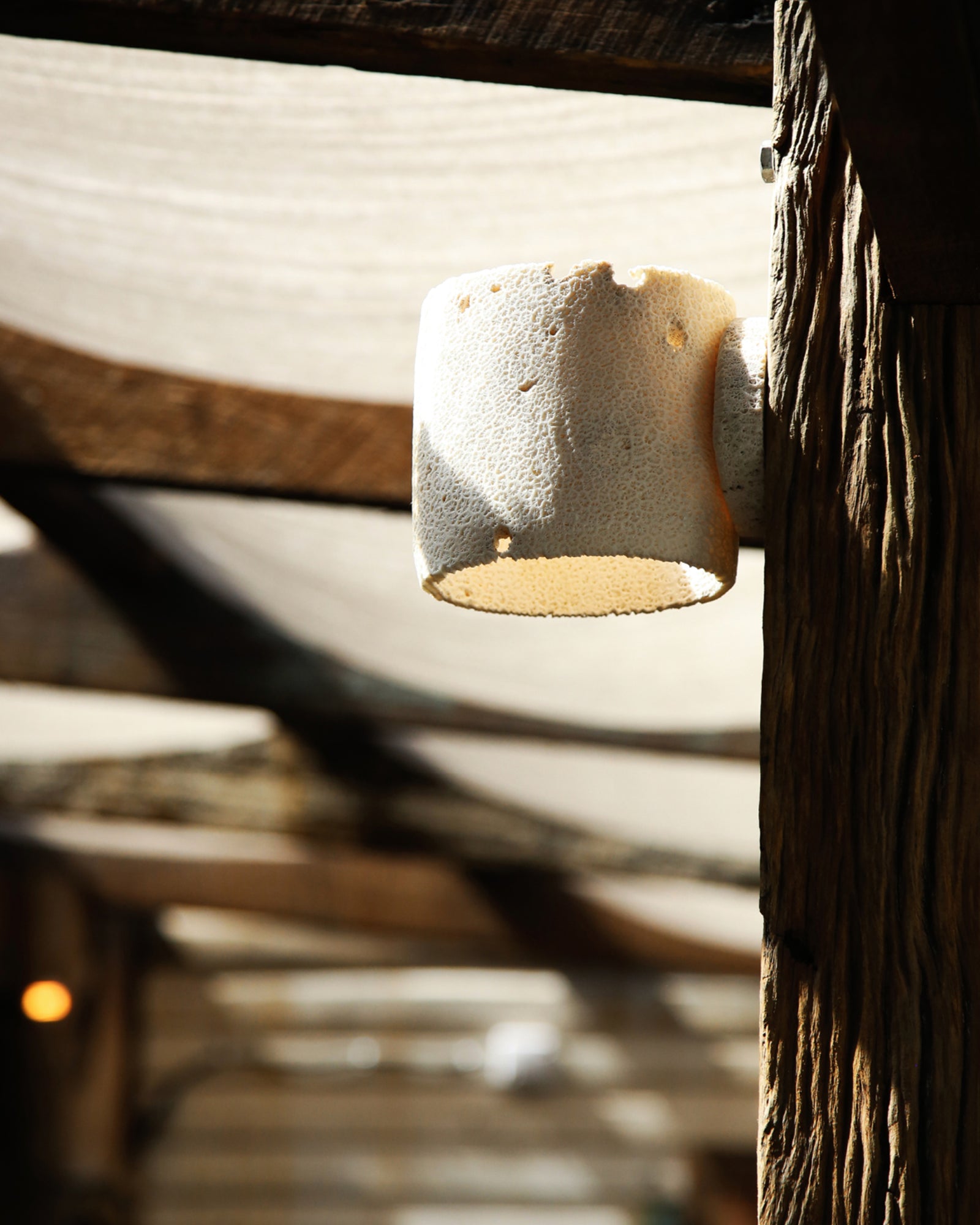 Fossil Coral Tube Wall Light