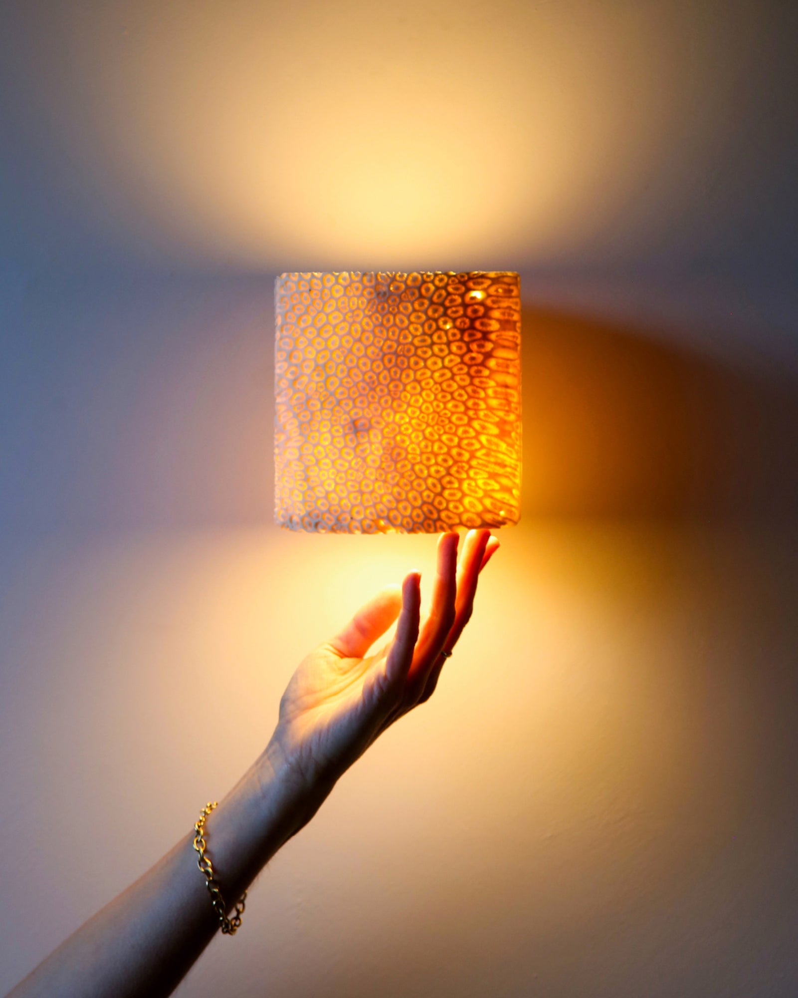 Fossil Coral Tube Wall Light