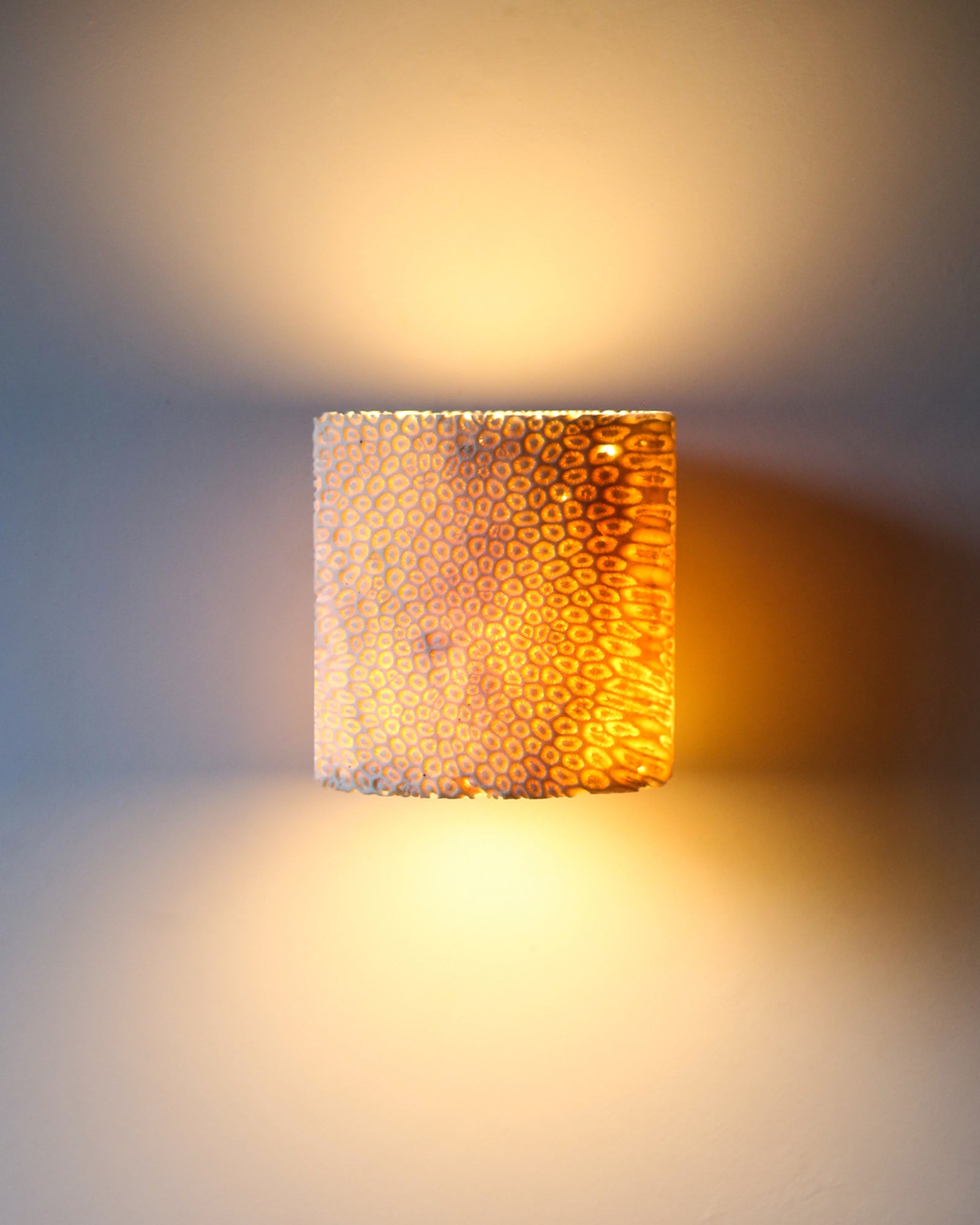 Fossil Coral Tube Wall Light