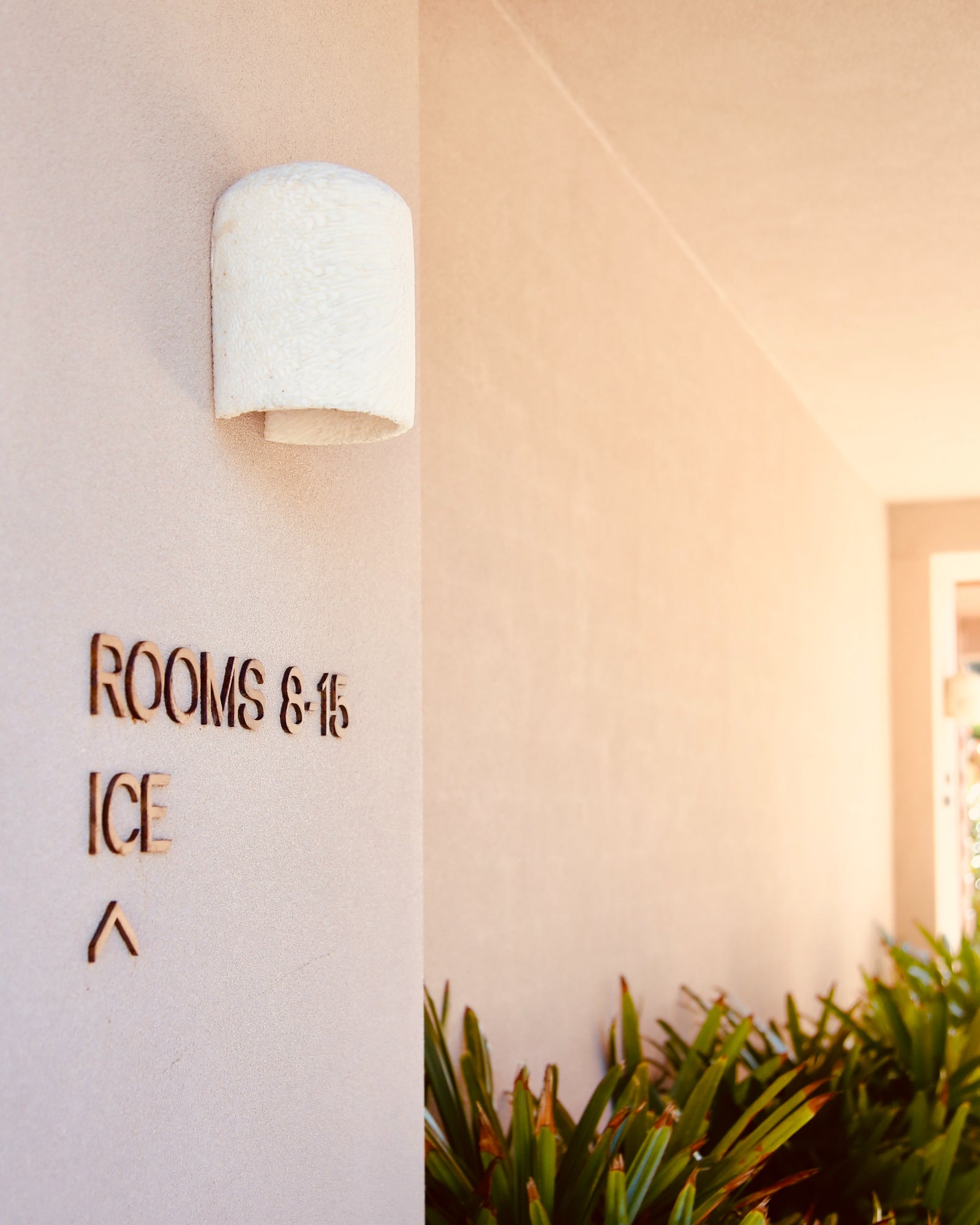 Fossil Coral Dome Flush Wall Light