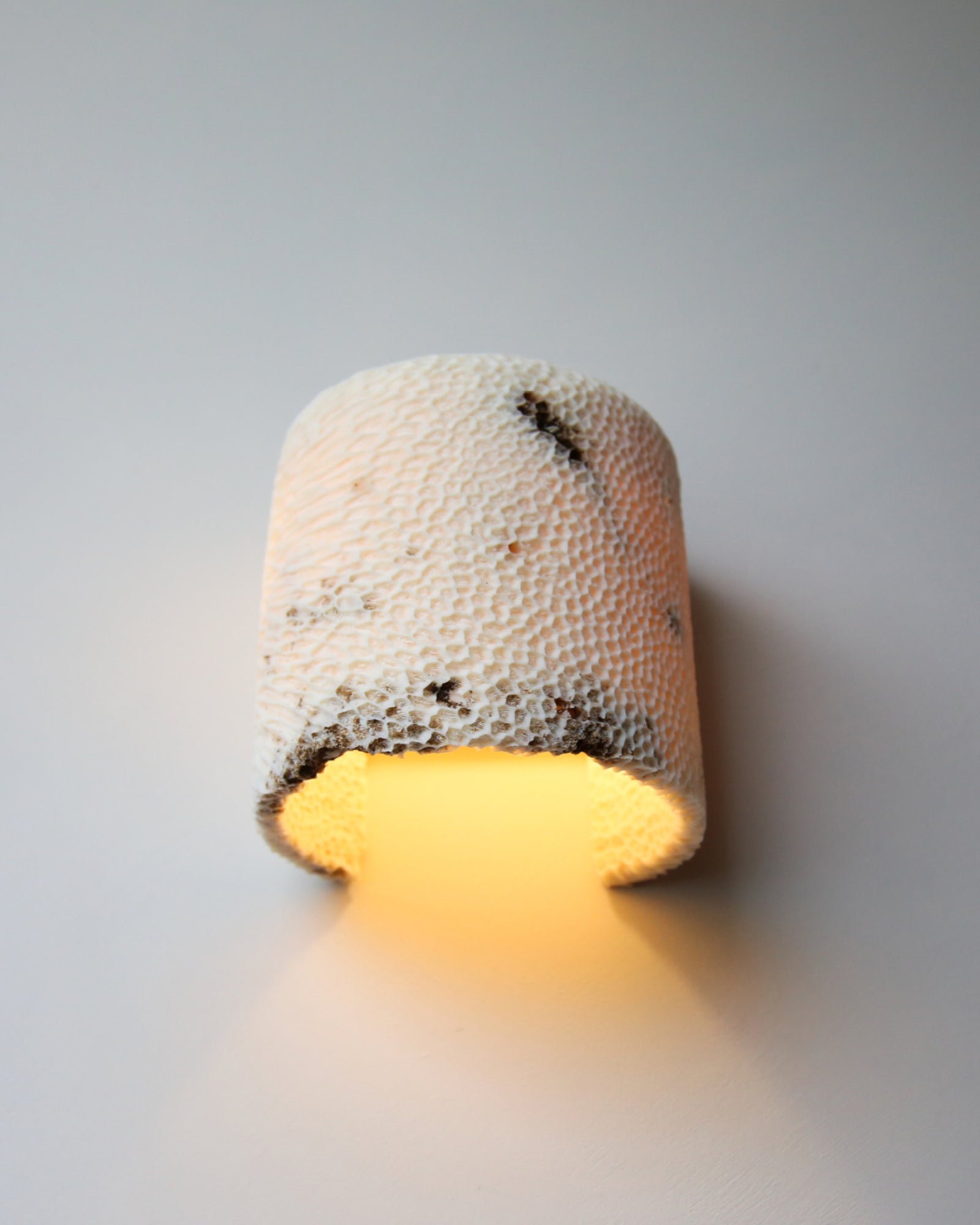 Fossil Coral Dome Flush Wall Light