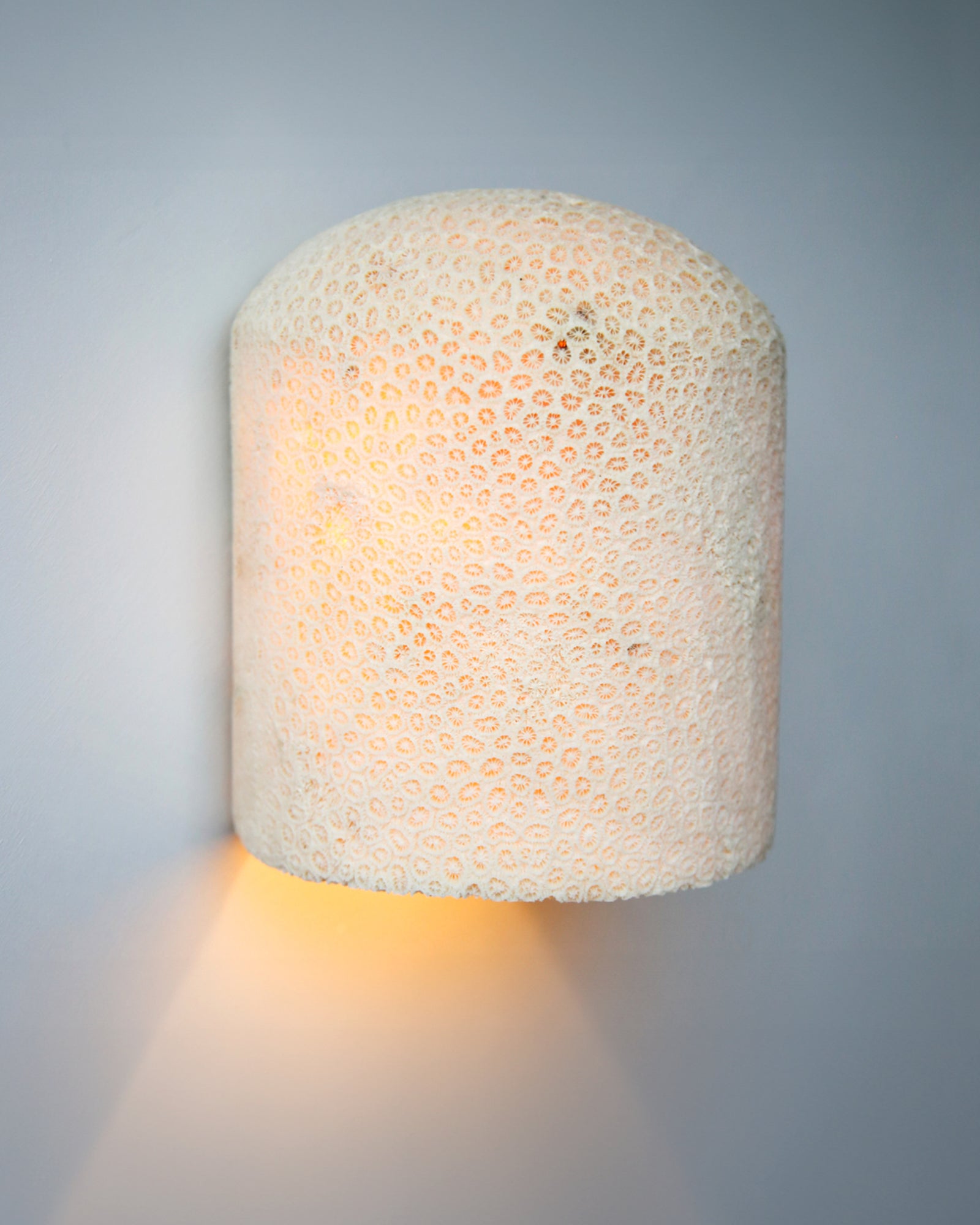 Fossil Coral Dome Flush Wall Light