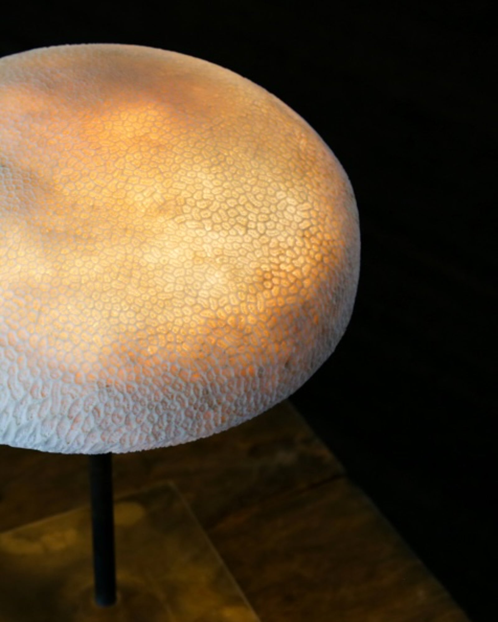 Fossil Coral Mushroom Table Lamp