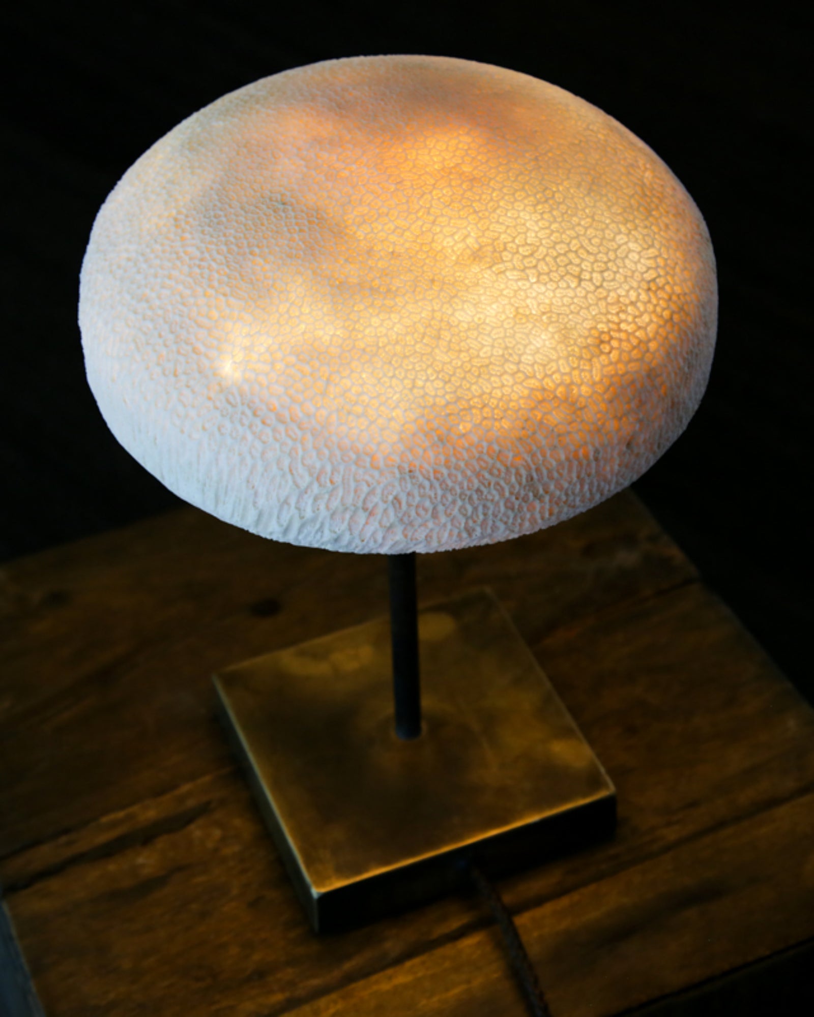 Fossil Coral Mushroom Table Lamp