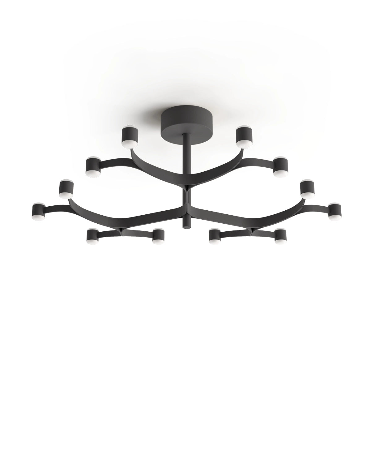 Fronda Ceiling Light