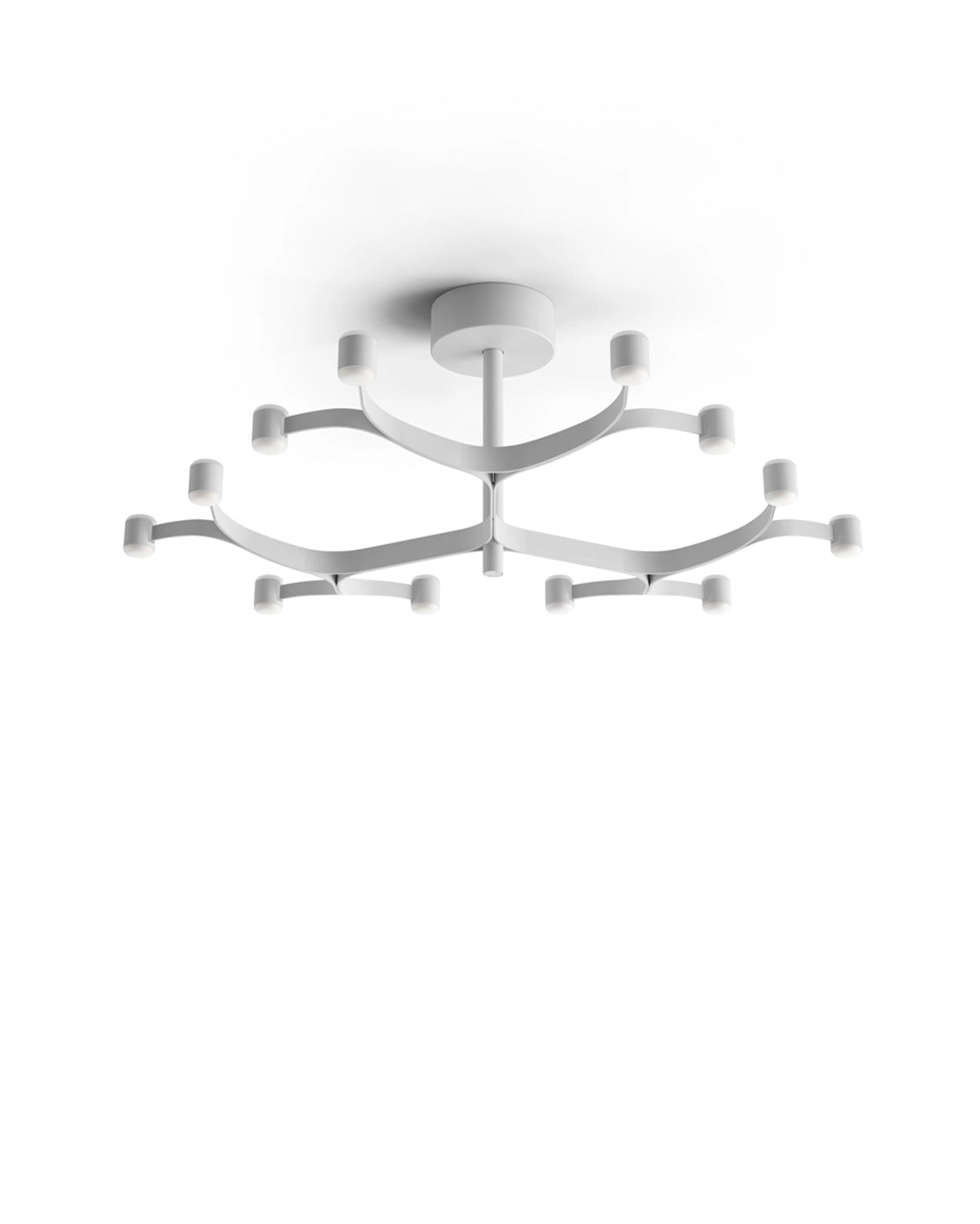 Fronda Ceiling Light