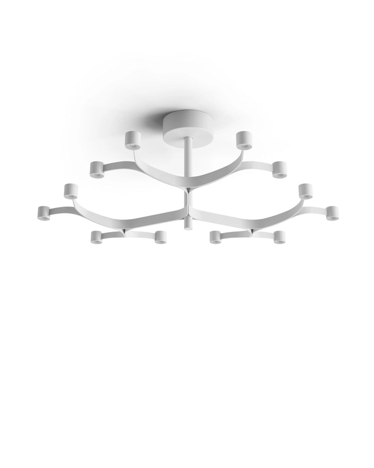 Fronda Ceiling Light