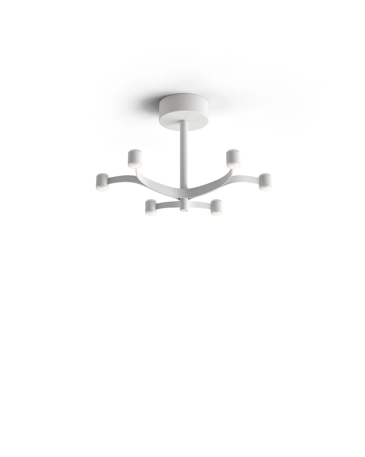 Fronda Ceiling Light