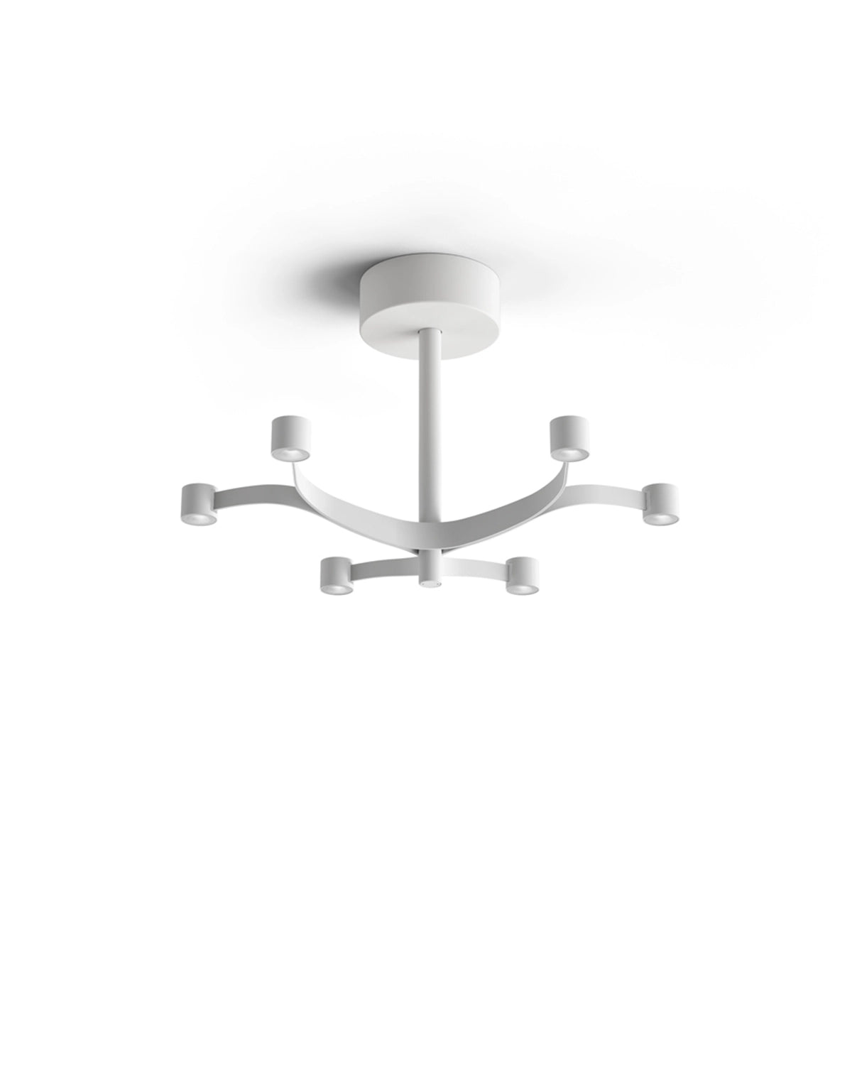 Fronda Ceiling Light