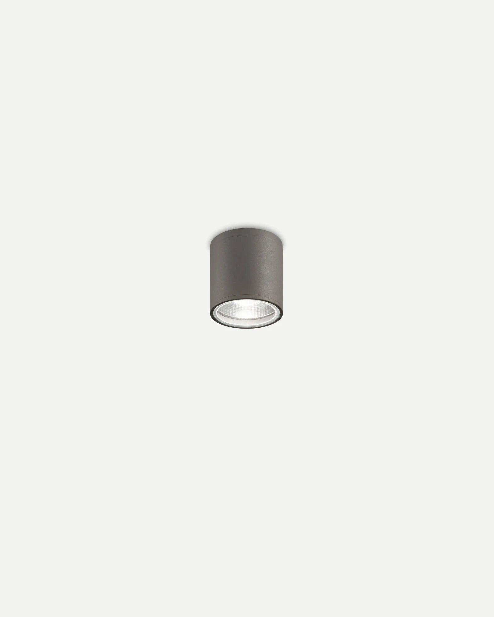 Gun Downlight