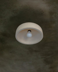 Hakea Ceiling Light