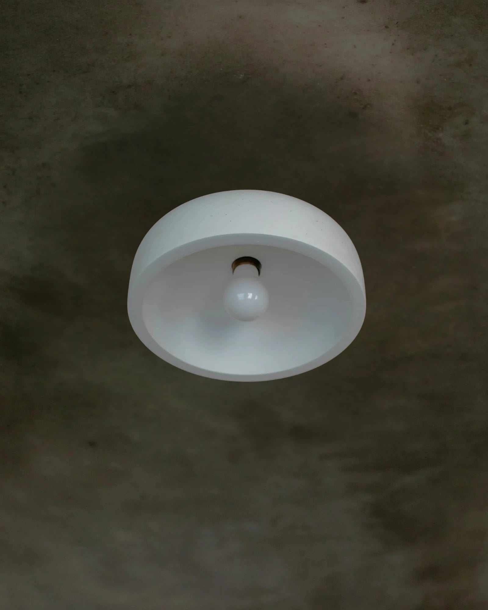 Hakea Ceiling Light