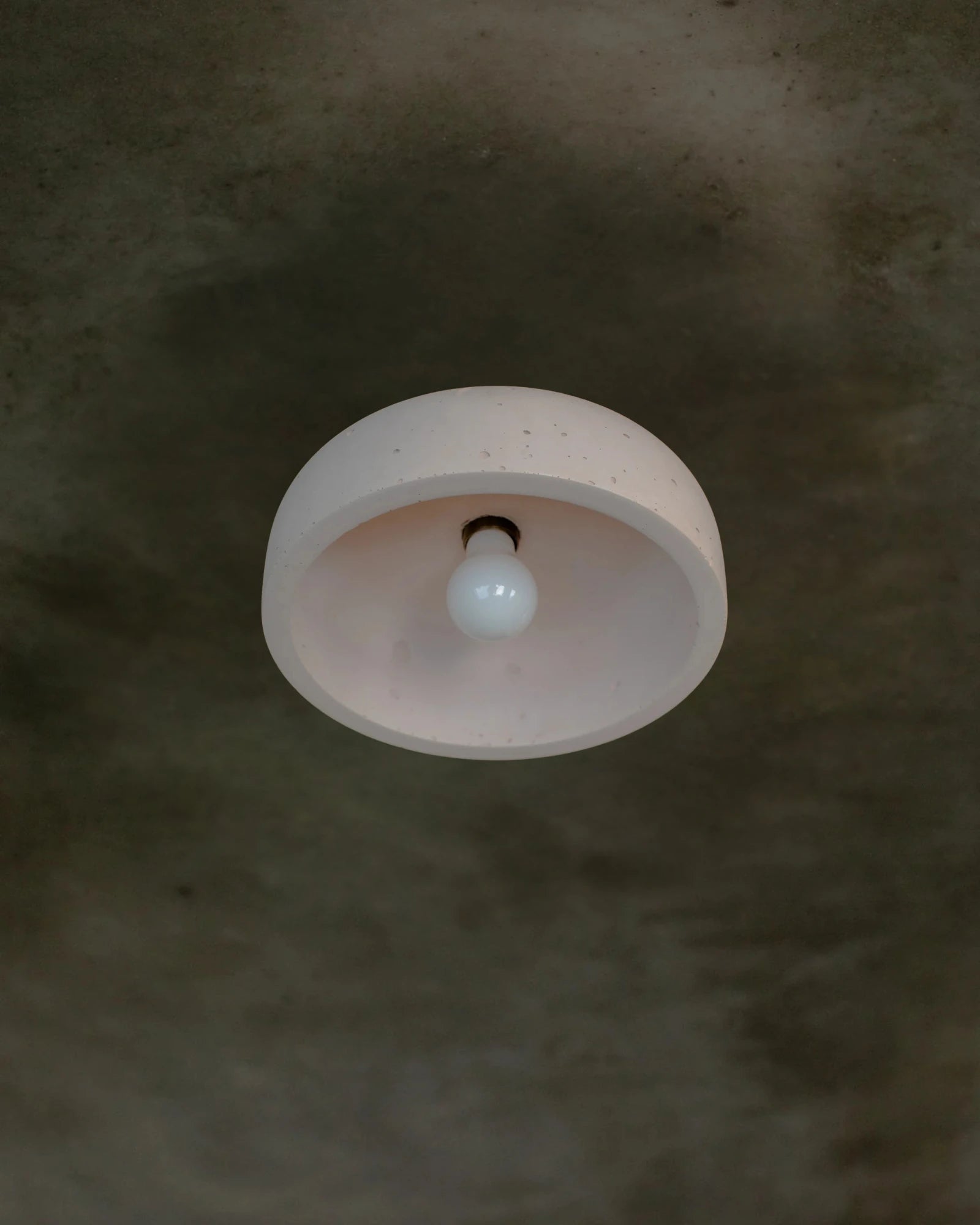 Hakea Ceiling Light