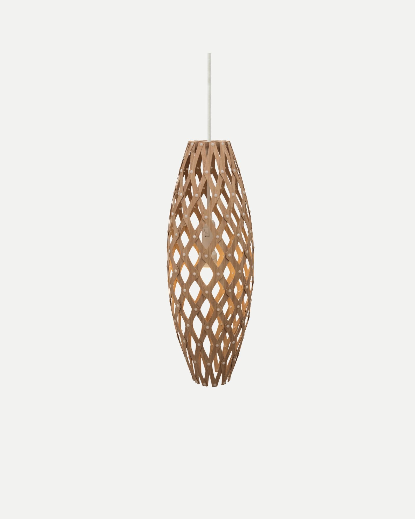 Hinaki Pendant Light