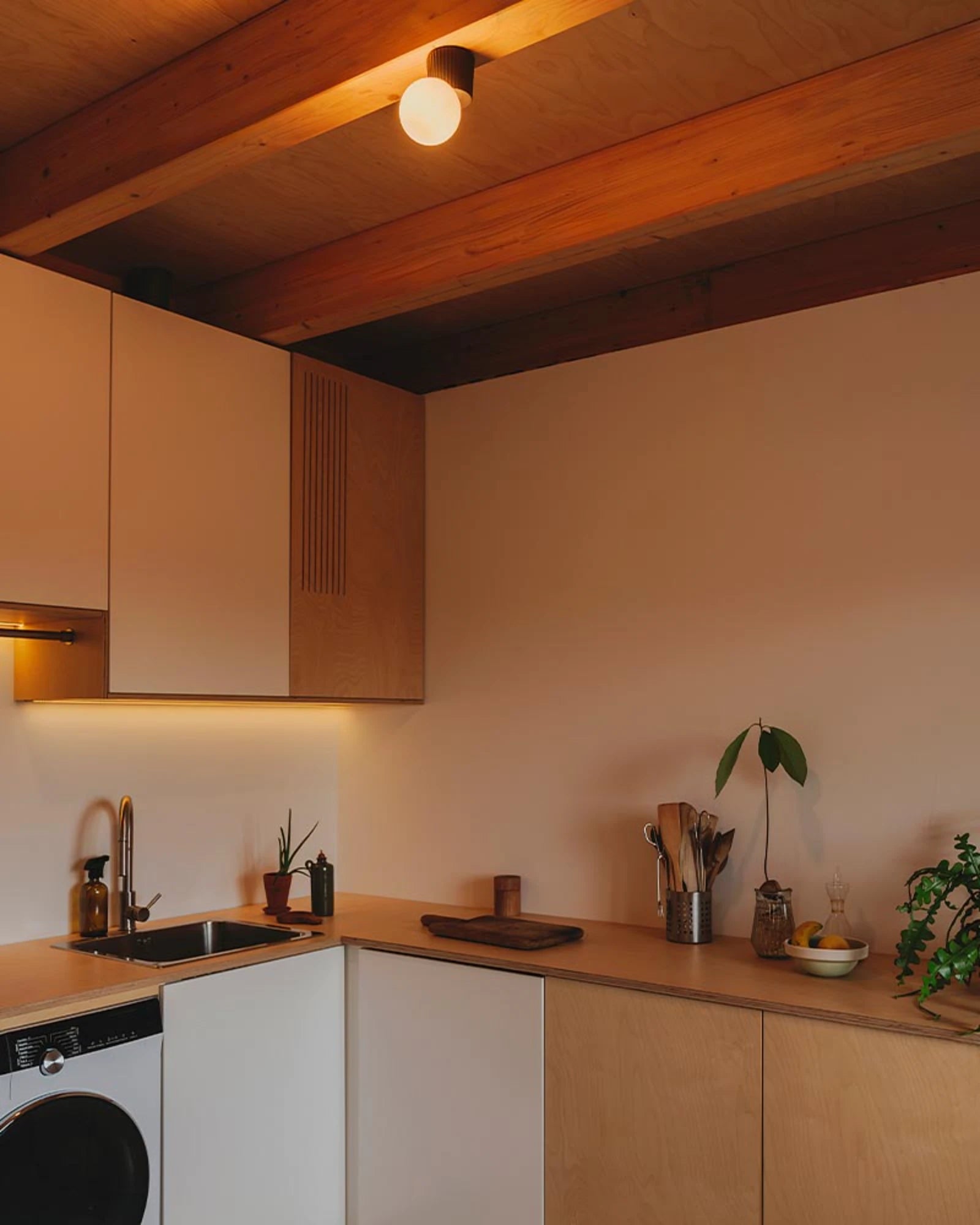 Land Ceiling Light