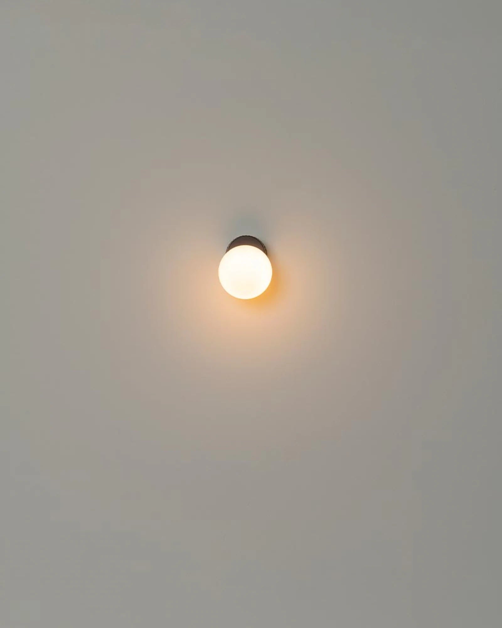 Land Wall Light