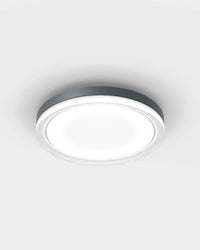 Lisc Ceiling Light