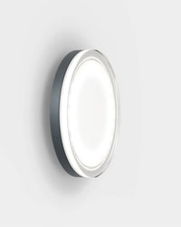 Lisc Wall Light