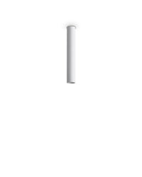 Look Ceiling Light