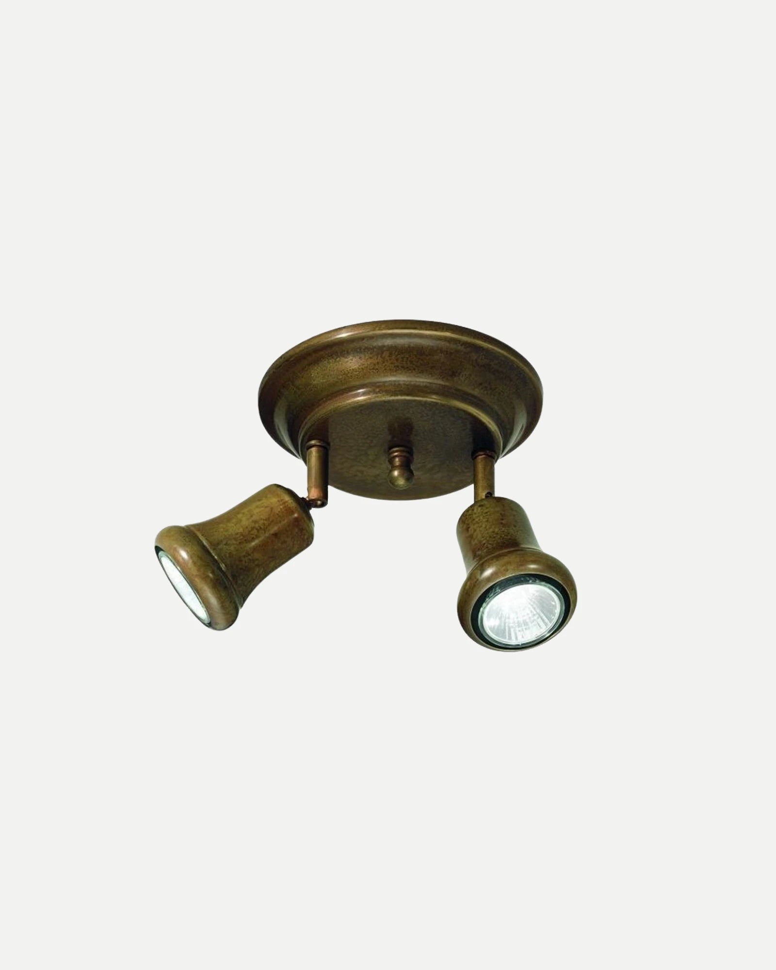 Mini 2lt Ceiling Light