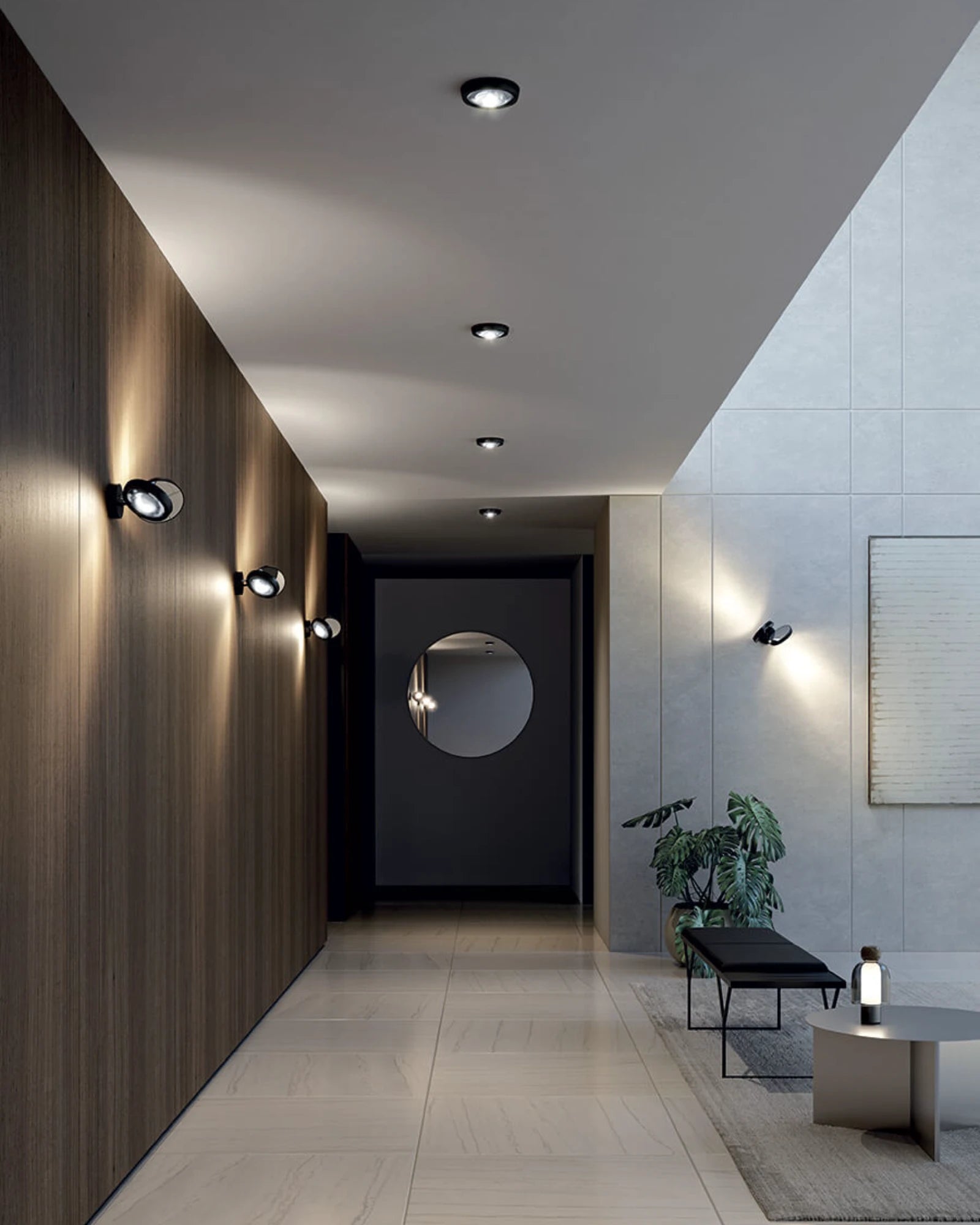 Nautilus Wall Light