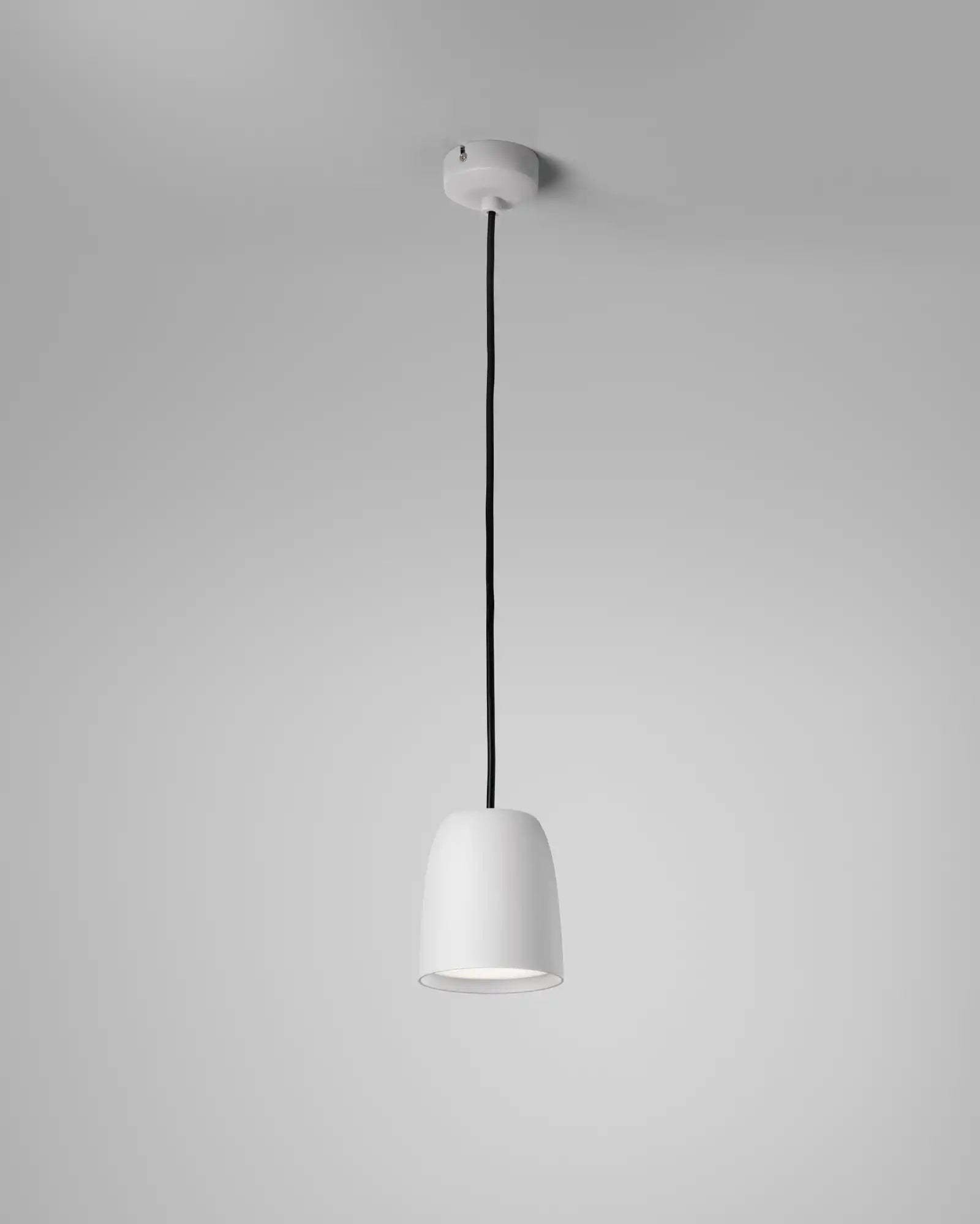 Nut Pendant Light