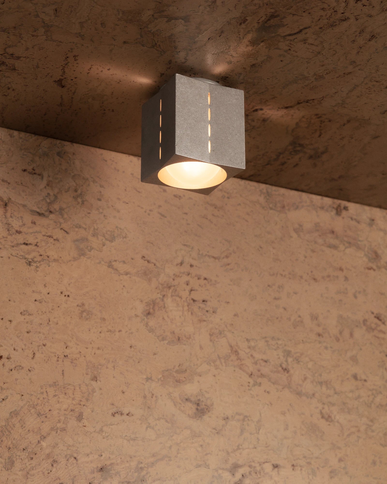 Polaris Ceiling Light