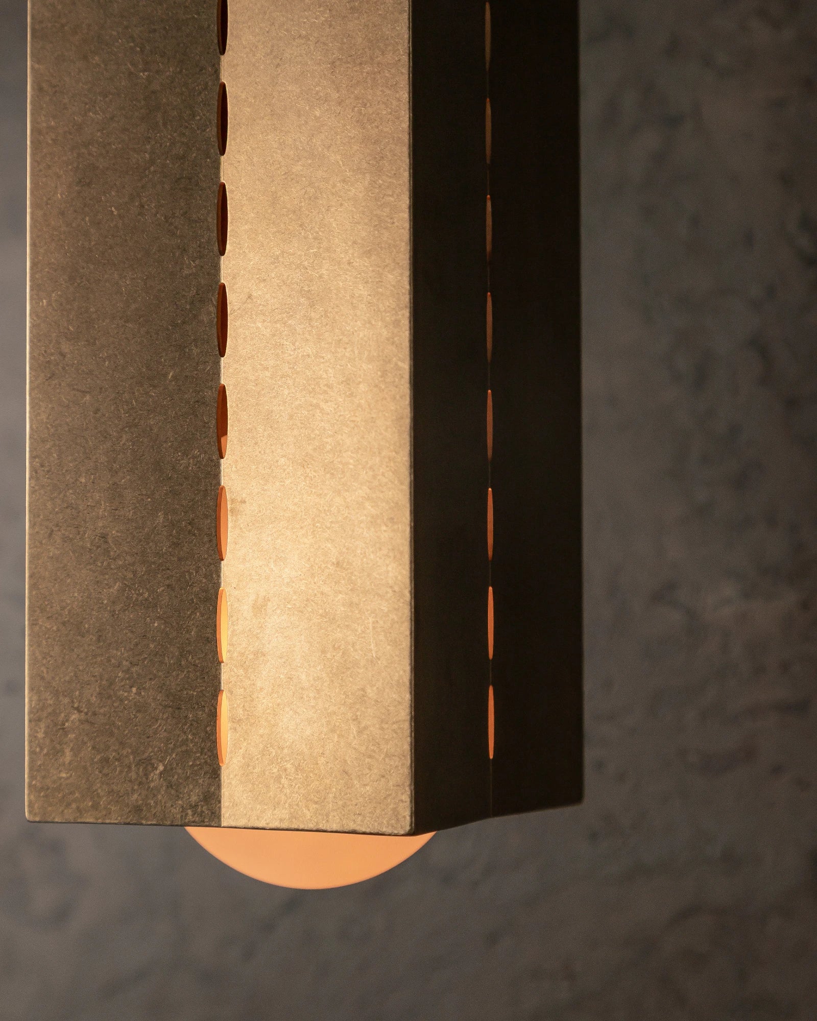 Polaris Ceiling Light