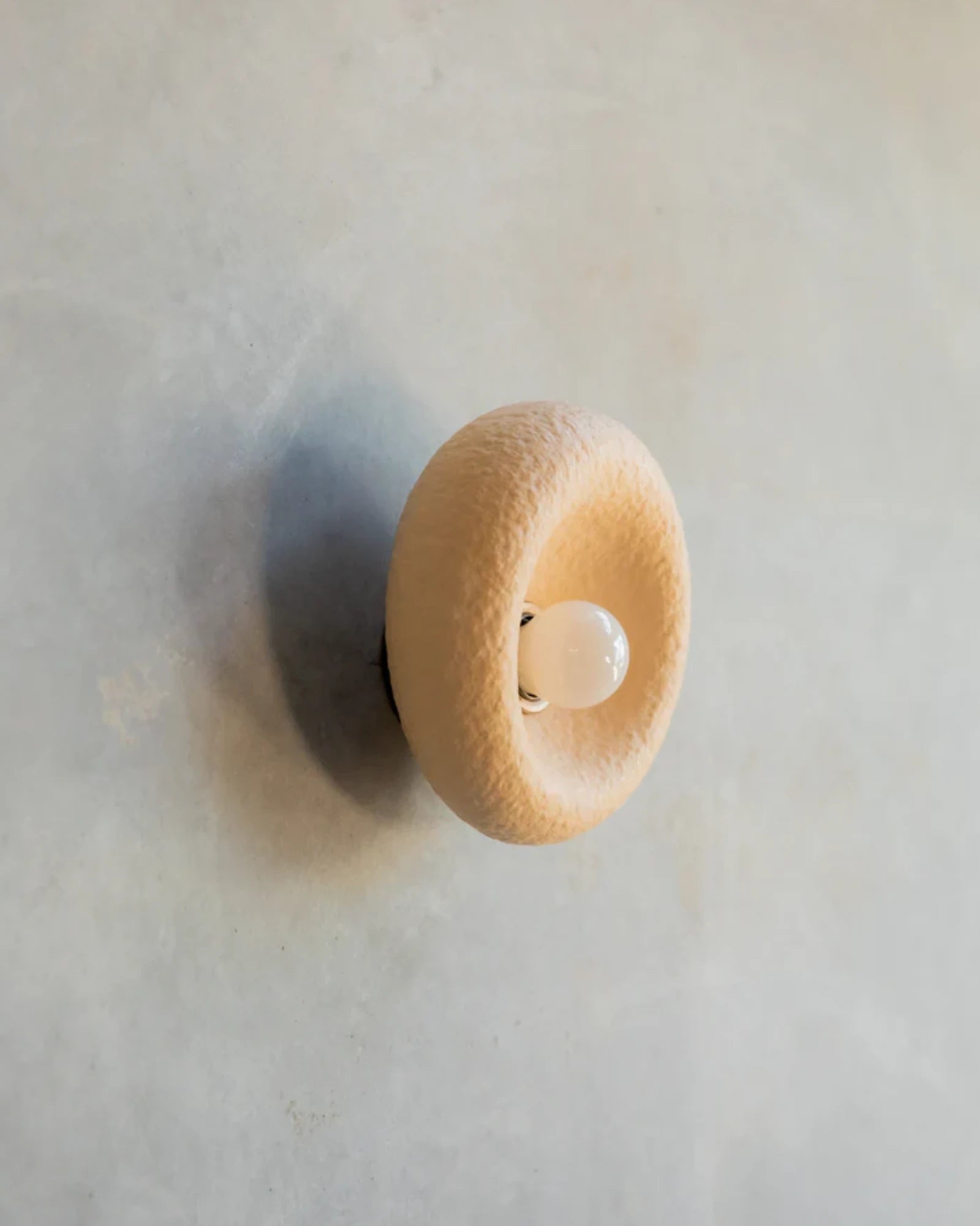 Pumice Wall Light