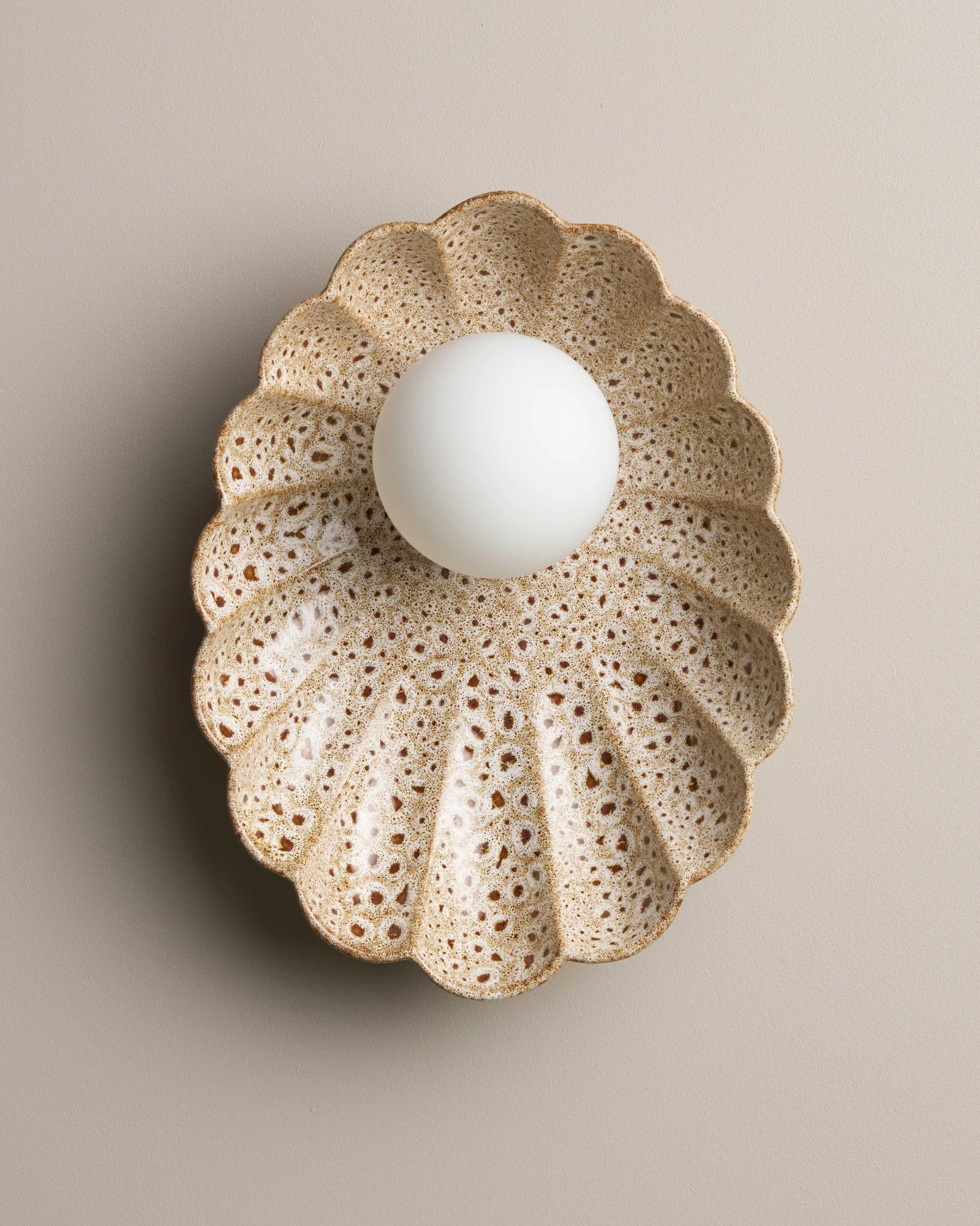 Oyster Wall Light