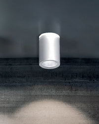 Sole Outdoor Ceiling Light