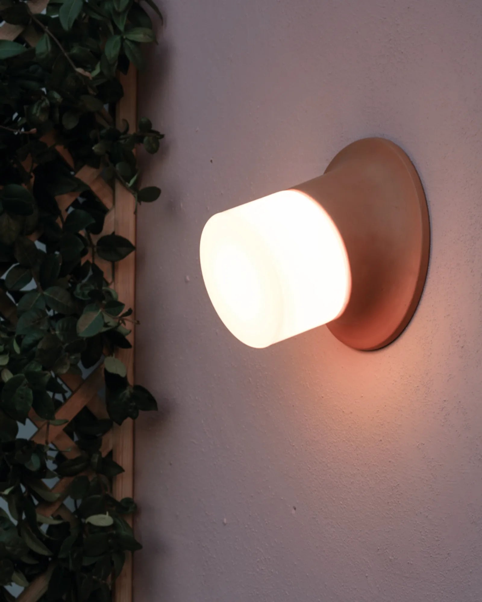 Swinger Wall Light