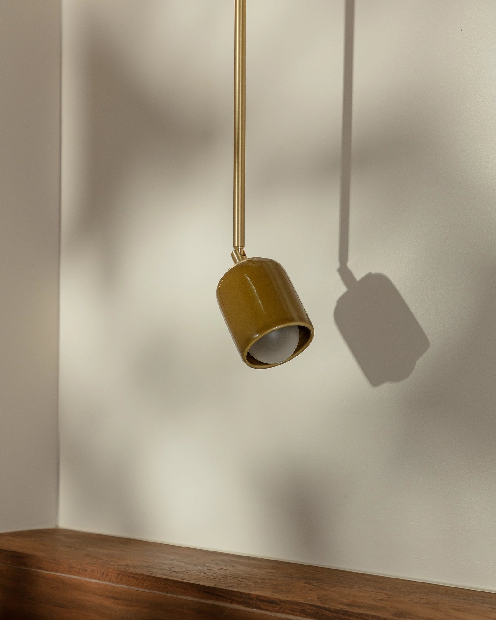 Terra 1 Flexi Pendant Light