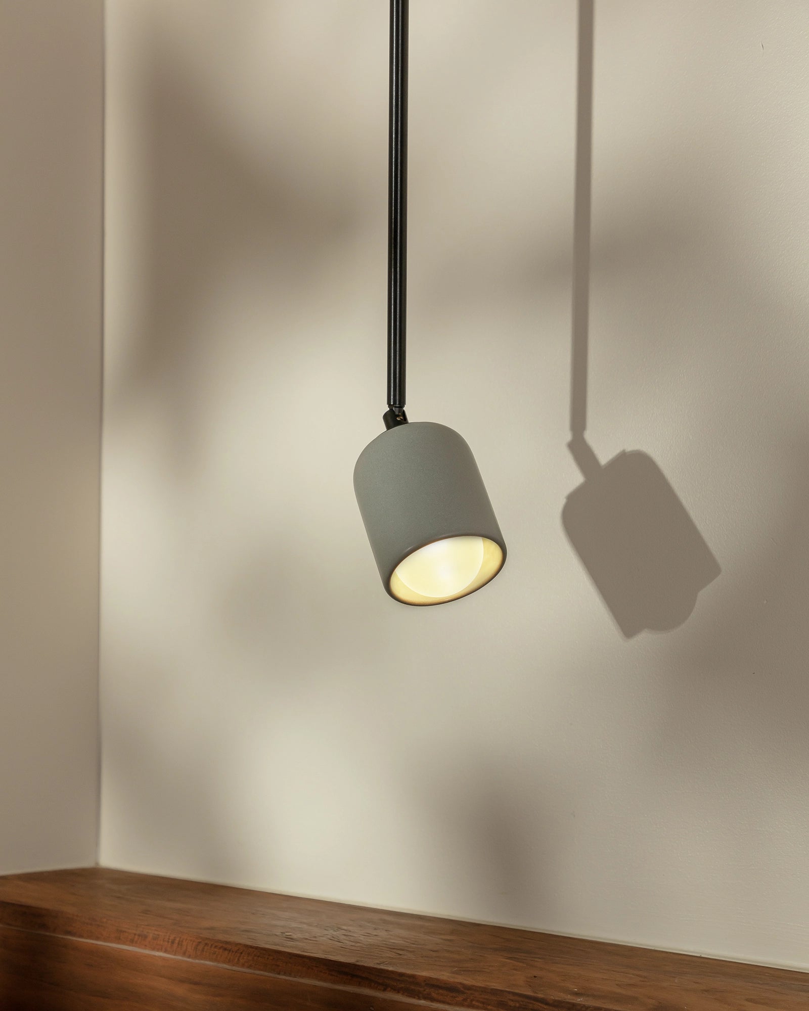 Terra 1 Flexi Pendant Light