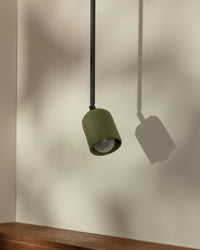 Terra 1 Flexi Pendant Light