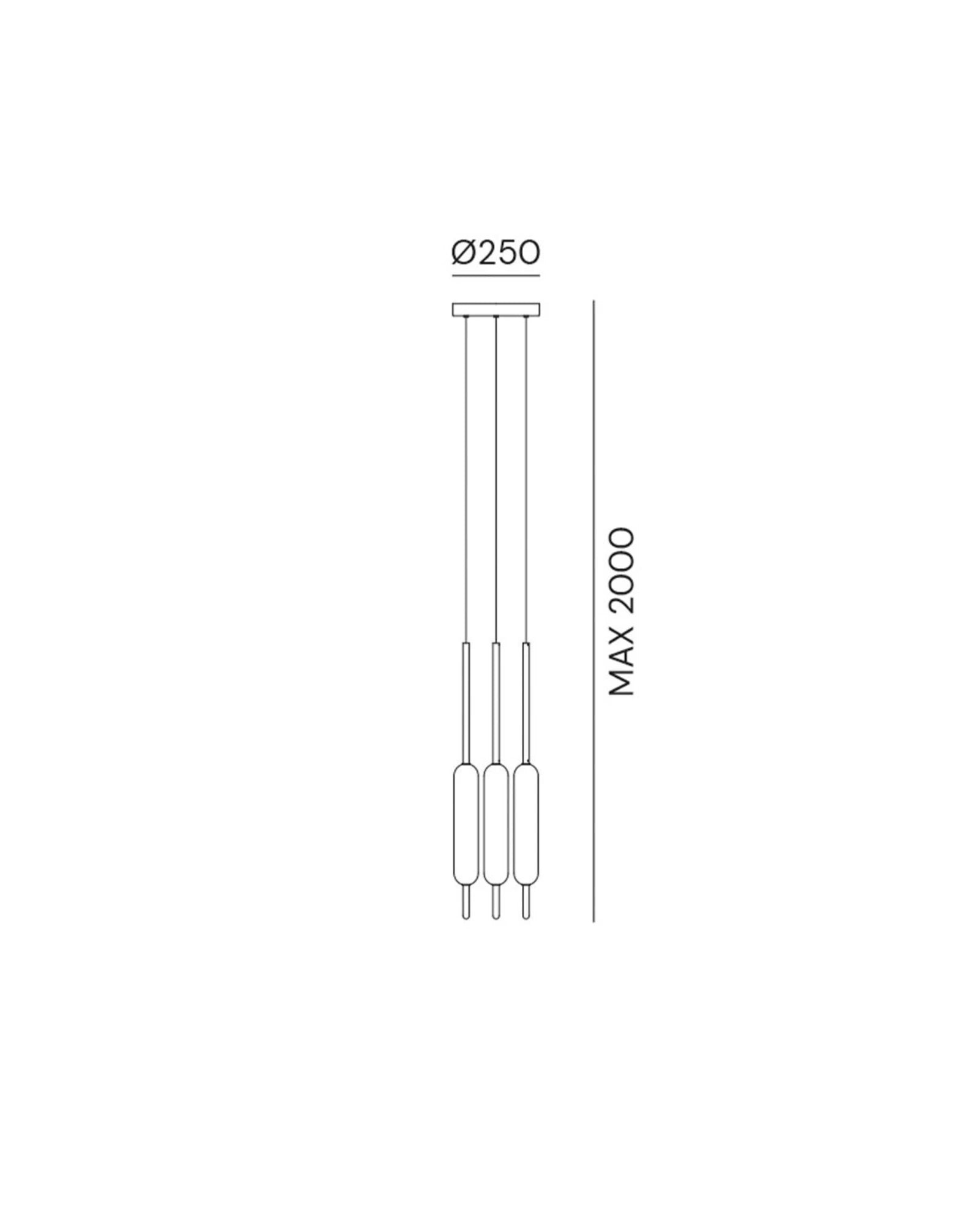 Typha Pendant Light