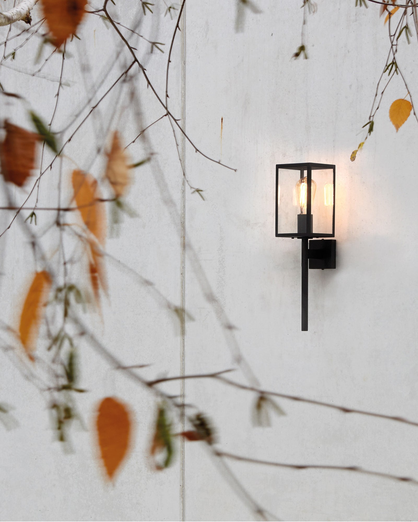 Lantern style store wall lights