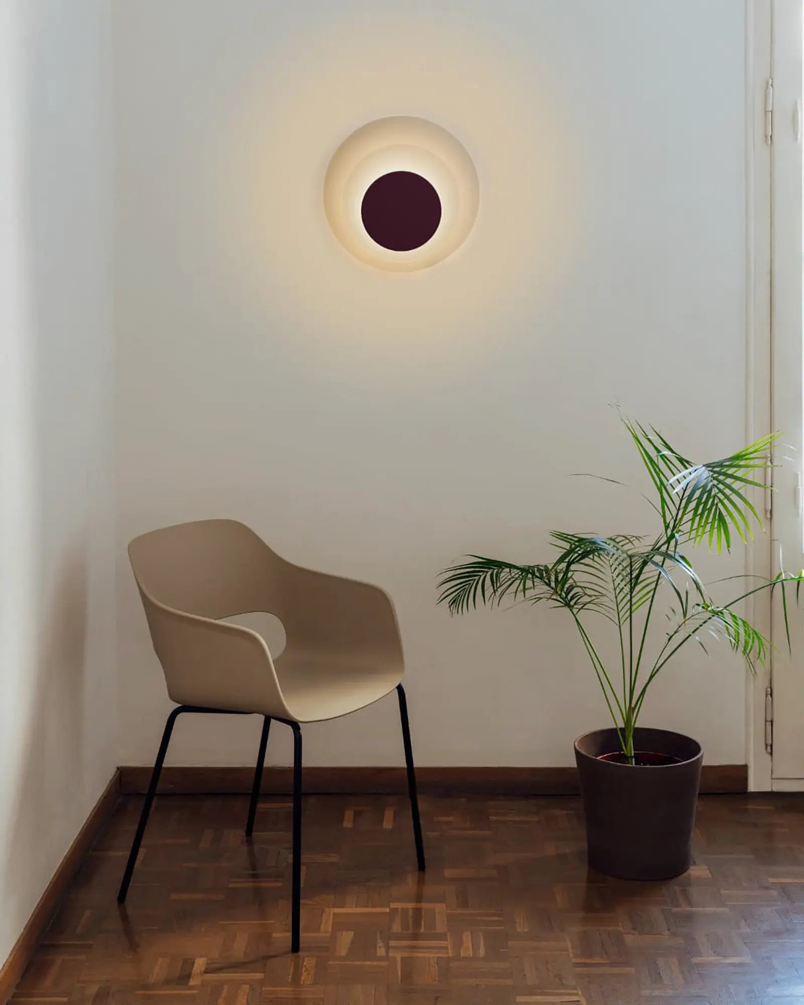 Plant best sale wall light