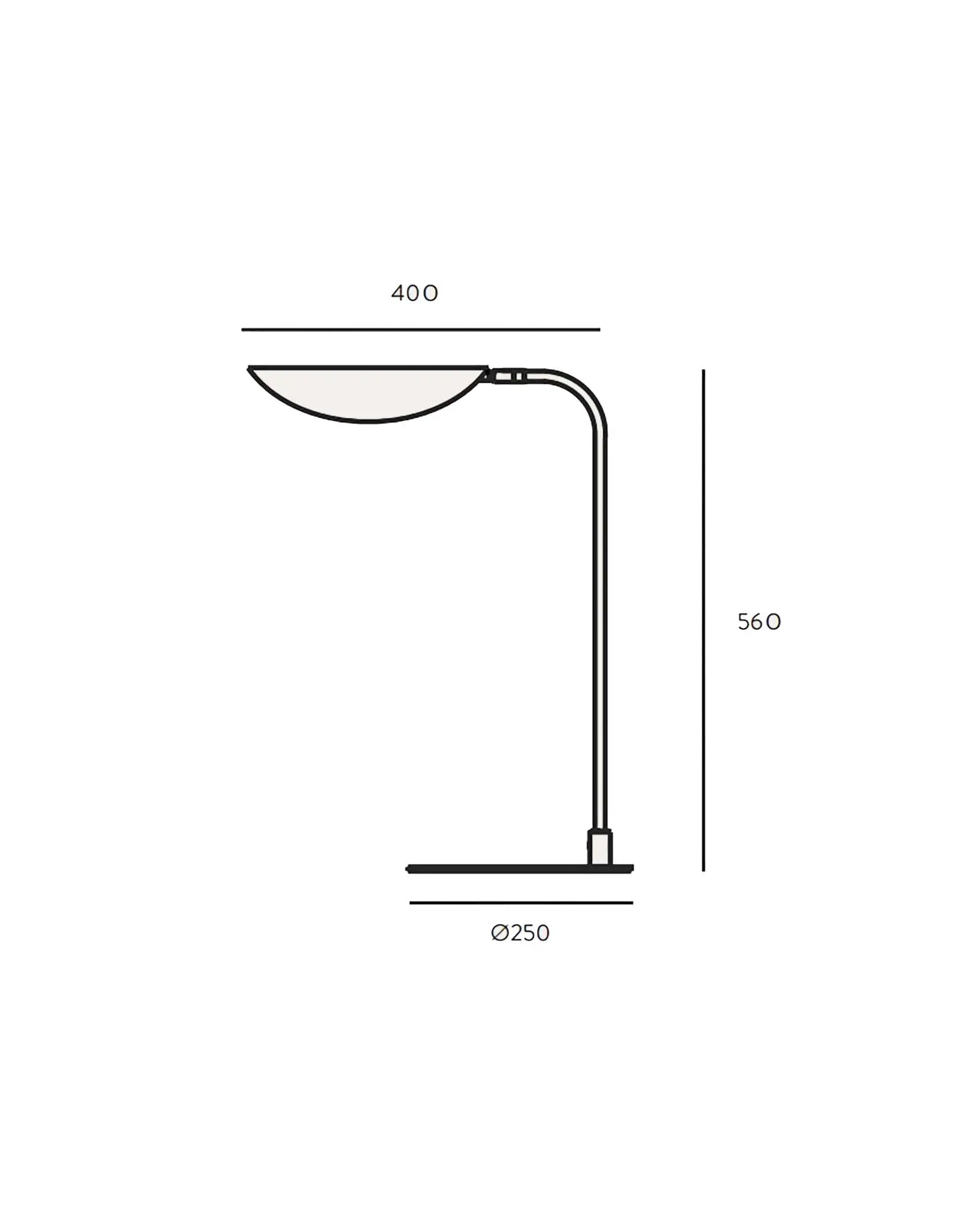 Ficus Table Lamp